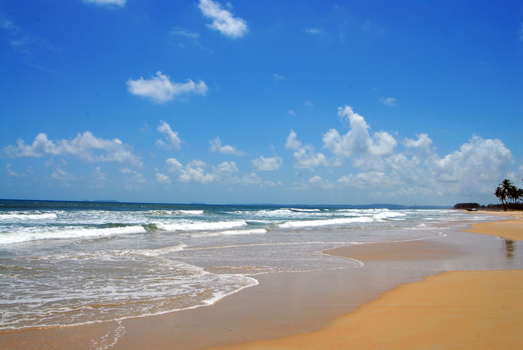 goa strand tapete,gewässer,strand,meer,himmel,küste