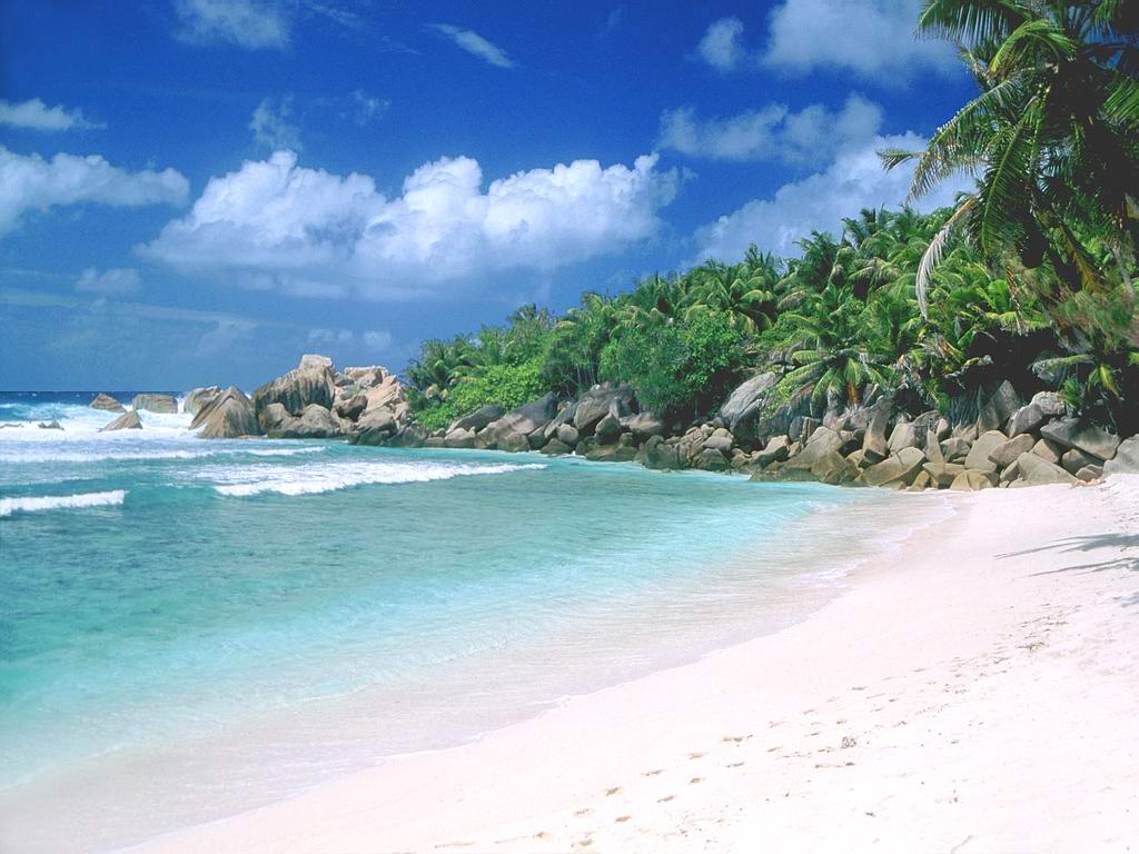 goa beach wallpaper,corpo d'acqua,spiaggia,natura,riva,costa