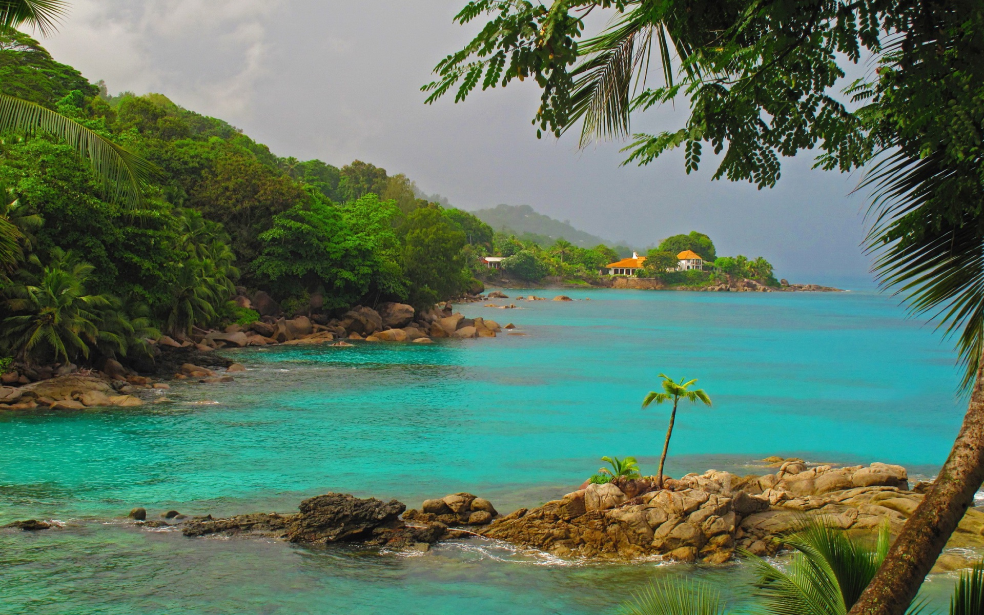 goa strand tapete,gewässer,natürliche landschaft,natur,meer,küste