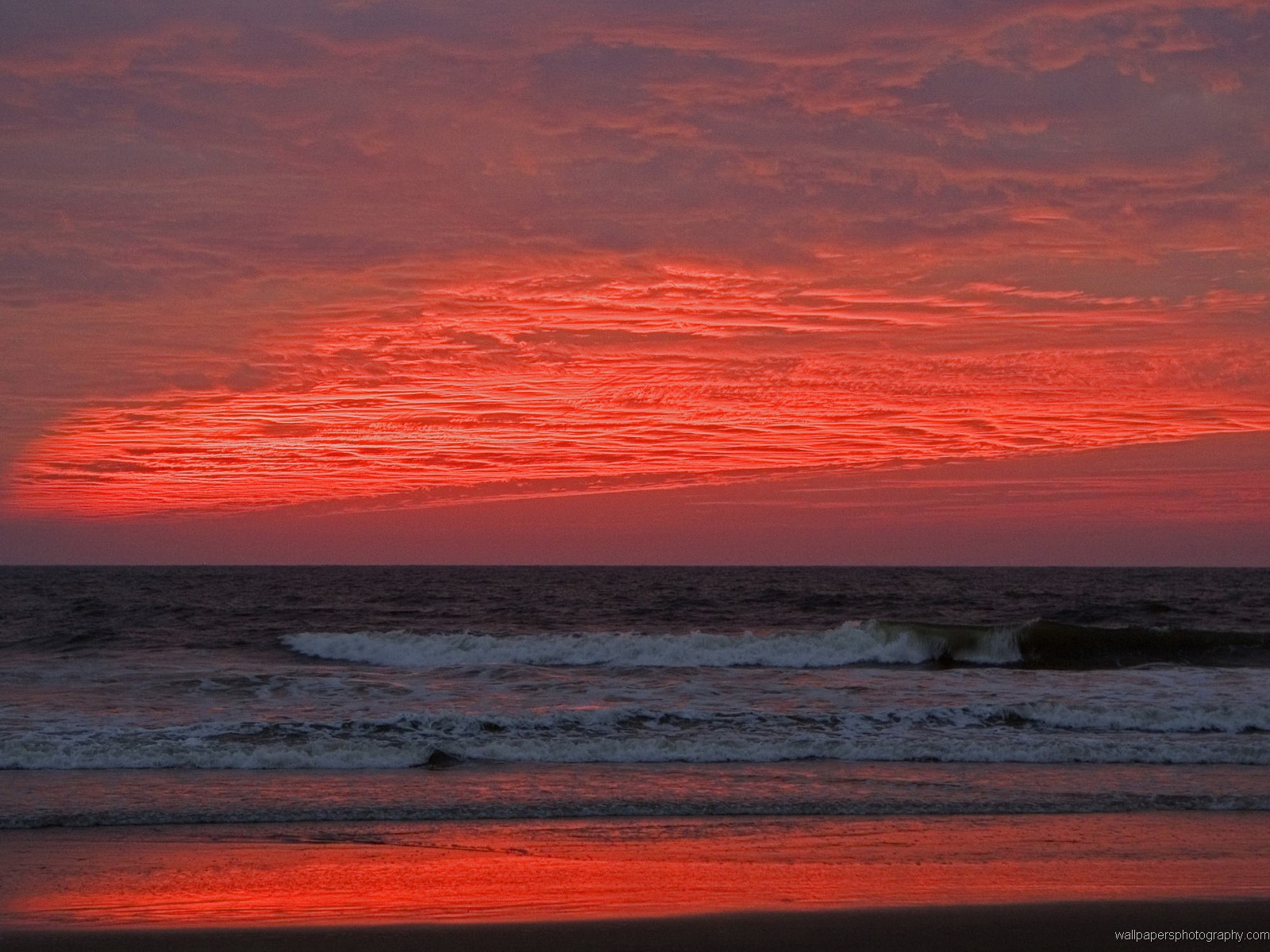고아 해변 벽지,하늘,아침에 붉은 하늘,수평선,잔광,해돋이
