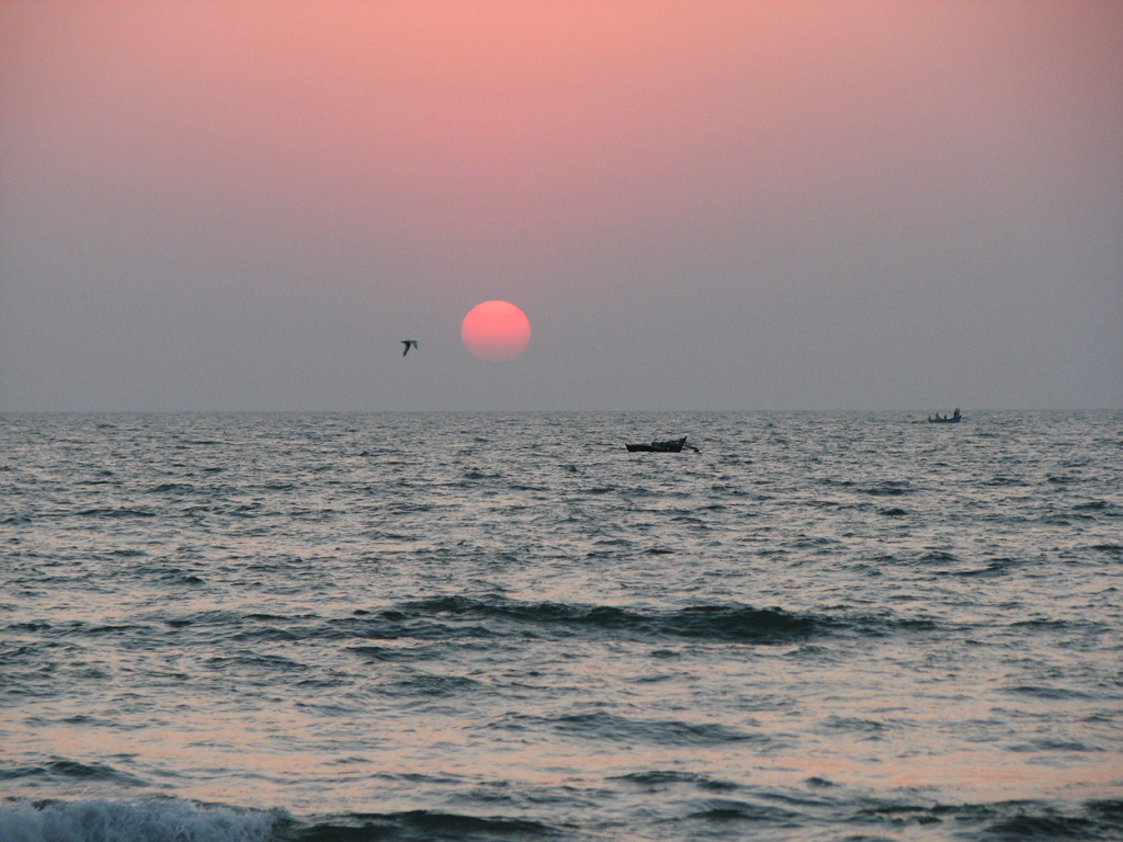 goa strand tapete,horizont,himmel,meer,ozean,sonnenuntergang