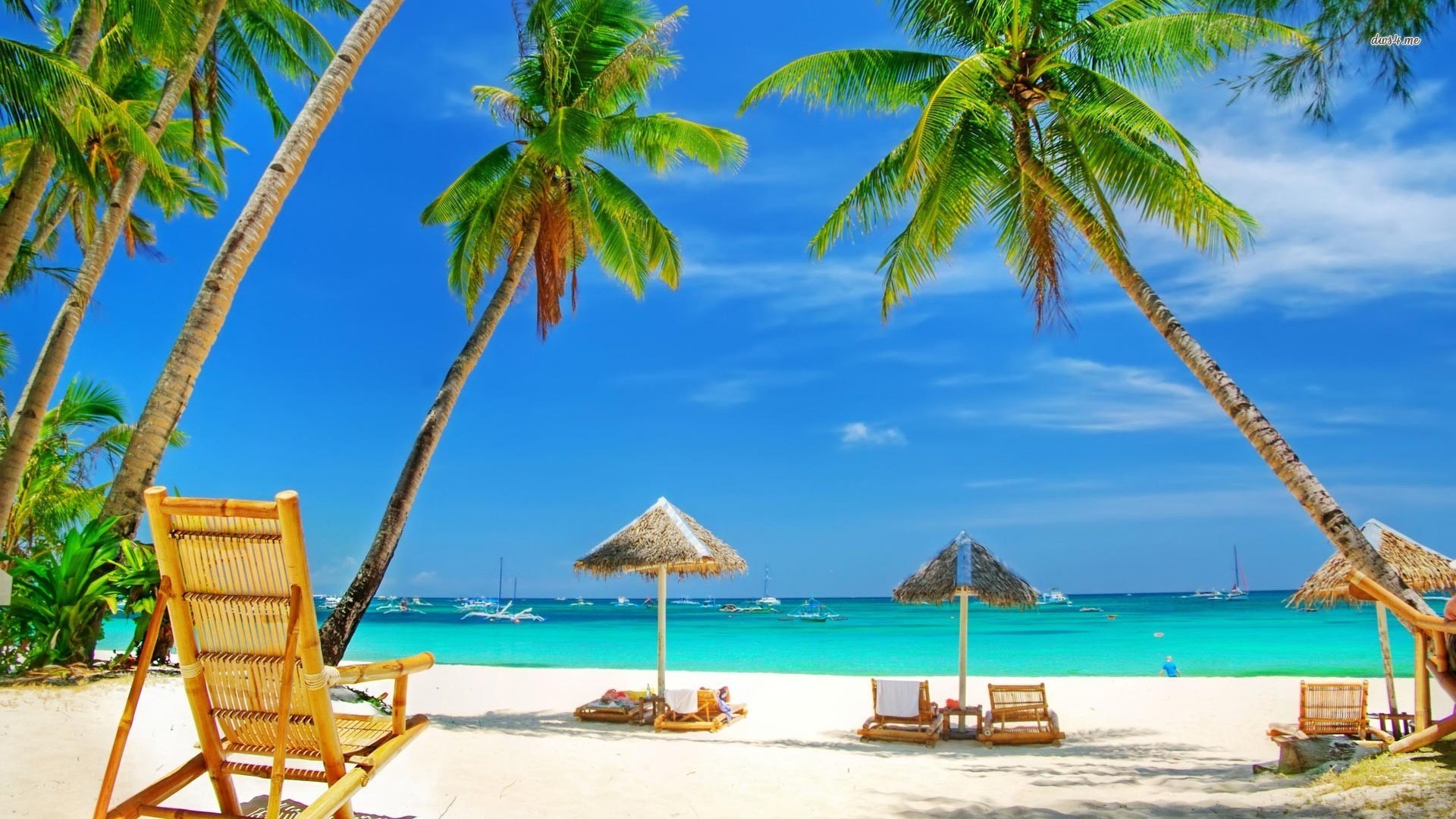 fondo de pantalla de goa beach,vacaciones,caribe,árbol,palmera,recurso