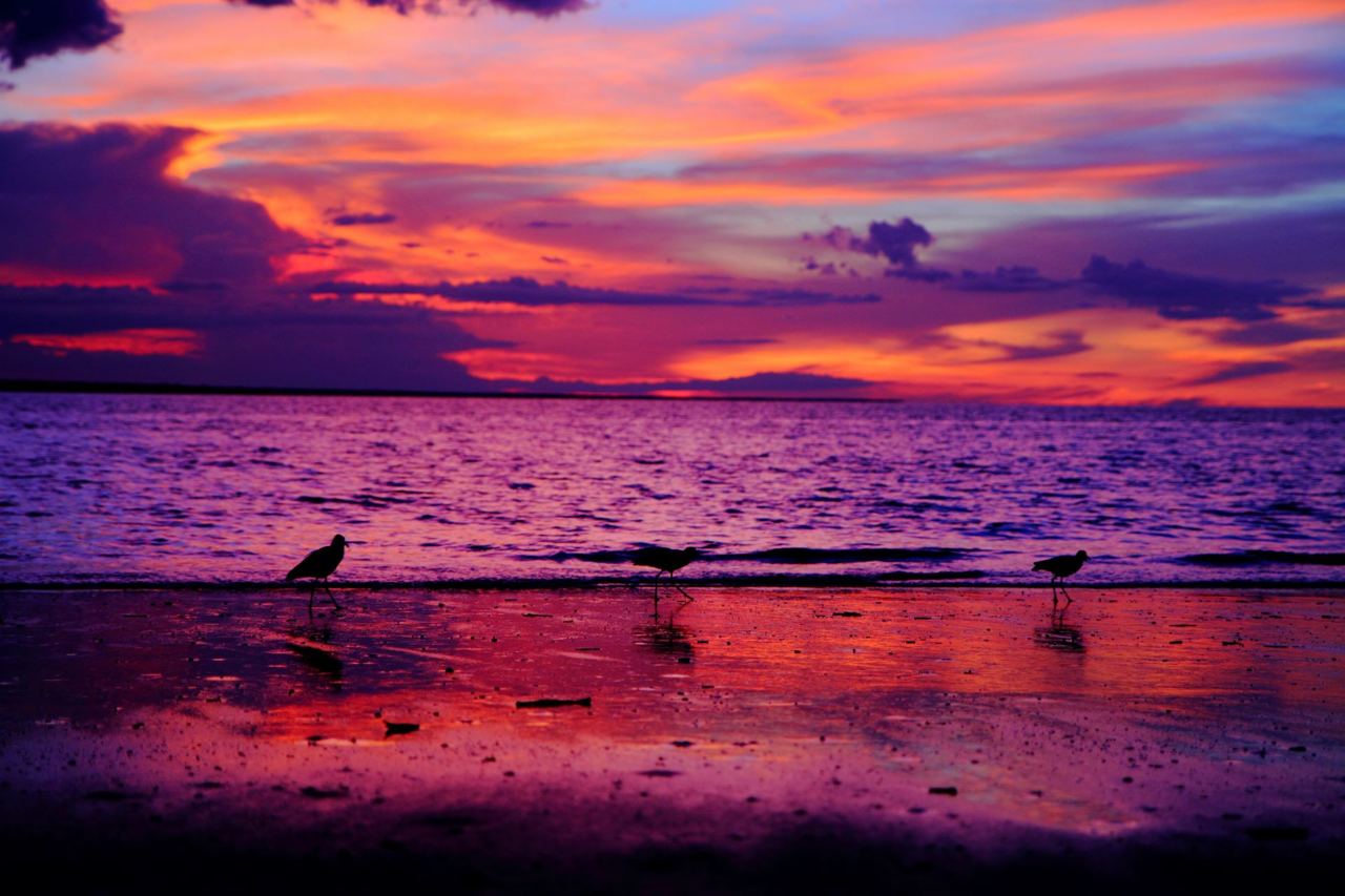 strandtapete tumblr,himmel,horizont,nachglühen,natur,sonnenuntergang