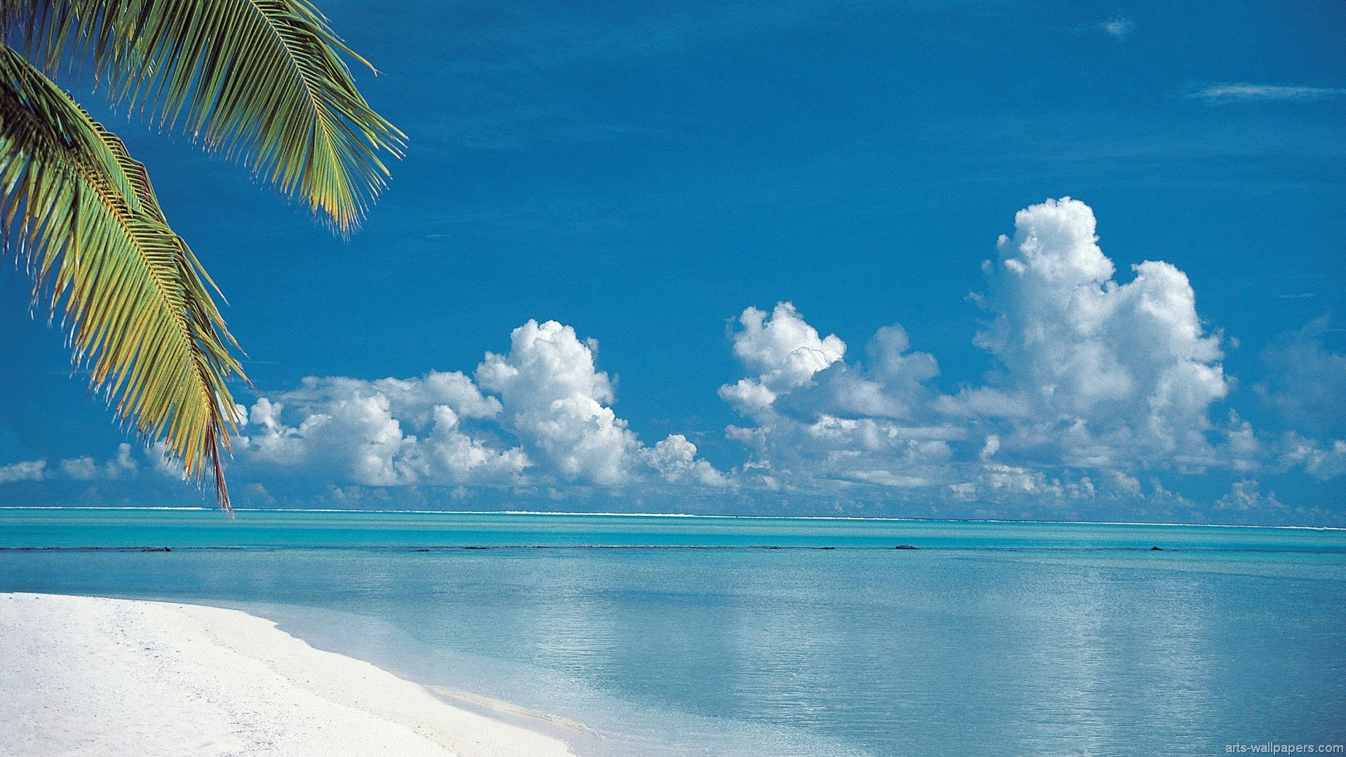 tropical paradise wallpaper,sky,blue,nature,tropics,sea