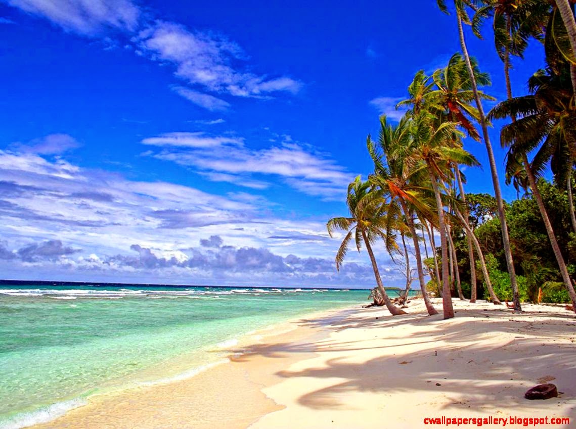 tropical paradise wallpaper,body of water,beach,nature,sky,tropics