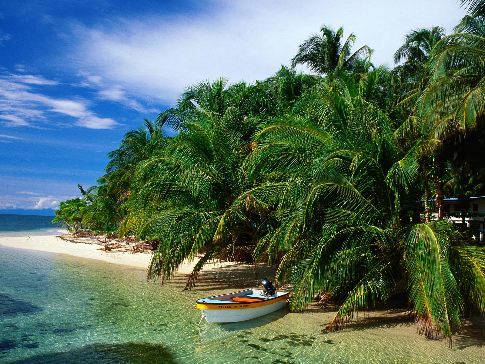 fond d'écran paradis tropical,la nature,paysage naturel,arbre,caraïbes,palmier