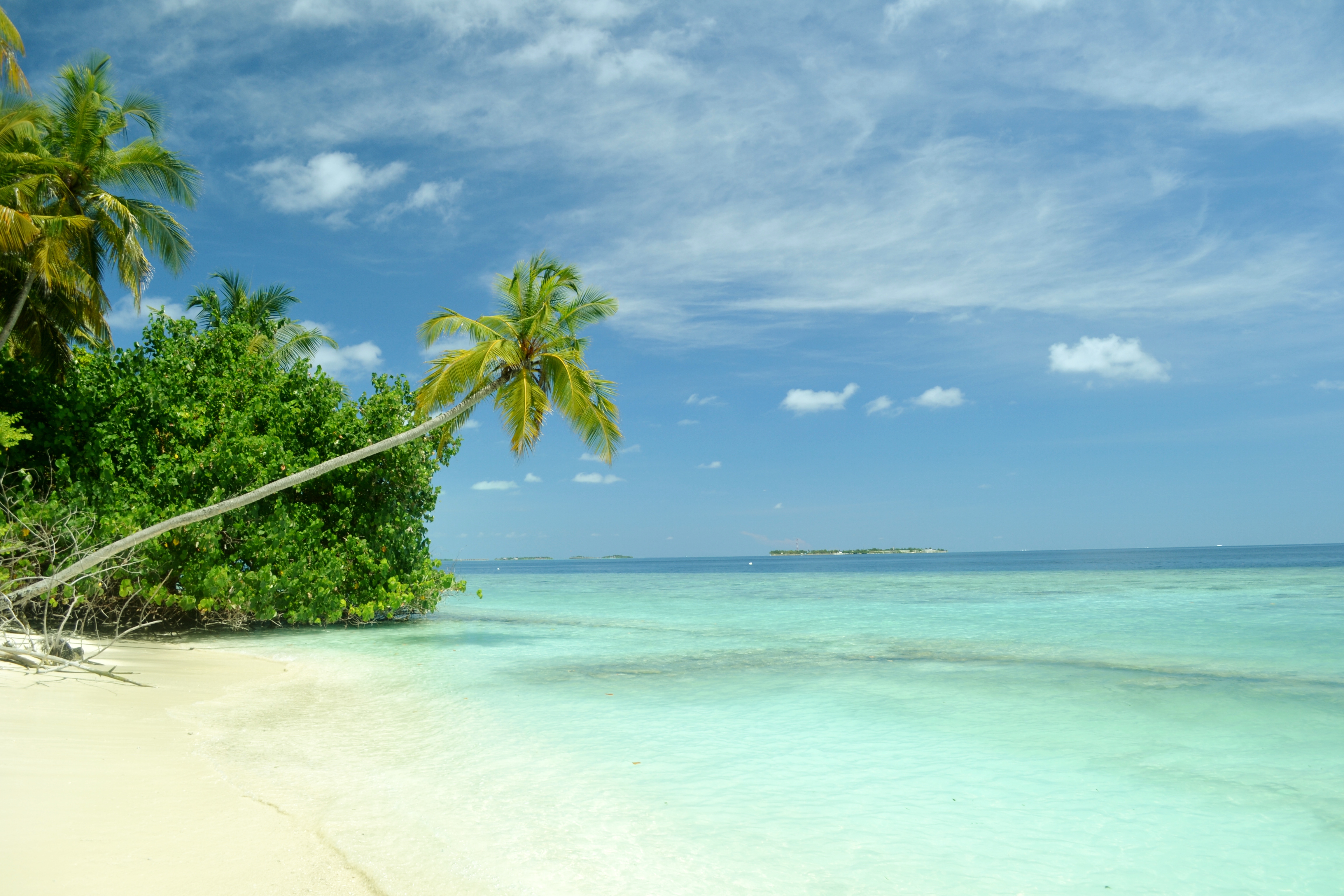 tropisches paradies tapete,gewässer,natur,natürliche landschaft,himmel,strand