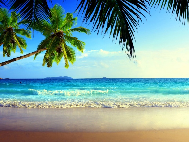 fond d'écran vue sur la mer,plan d'eau,la nature,plage,arbre,ciel