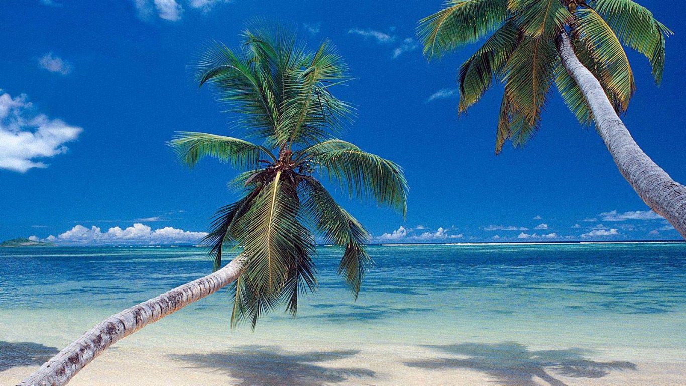 carta da parati vista mare,albero,natura,palma,cielo,caraibico