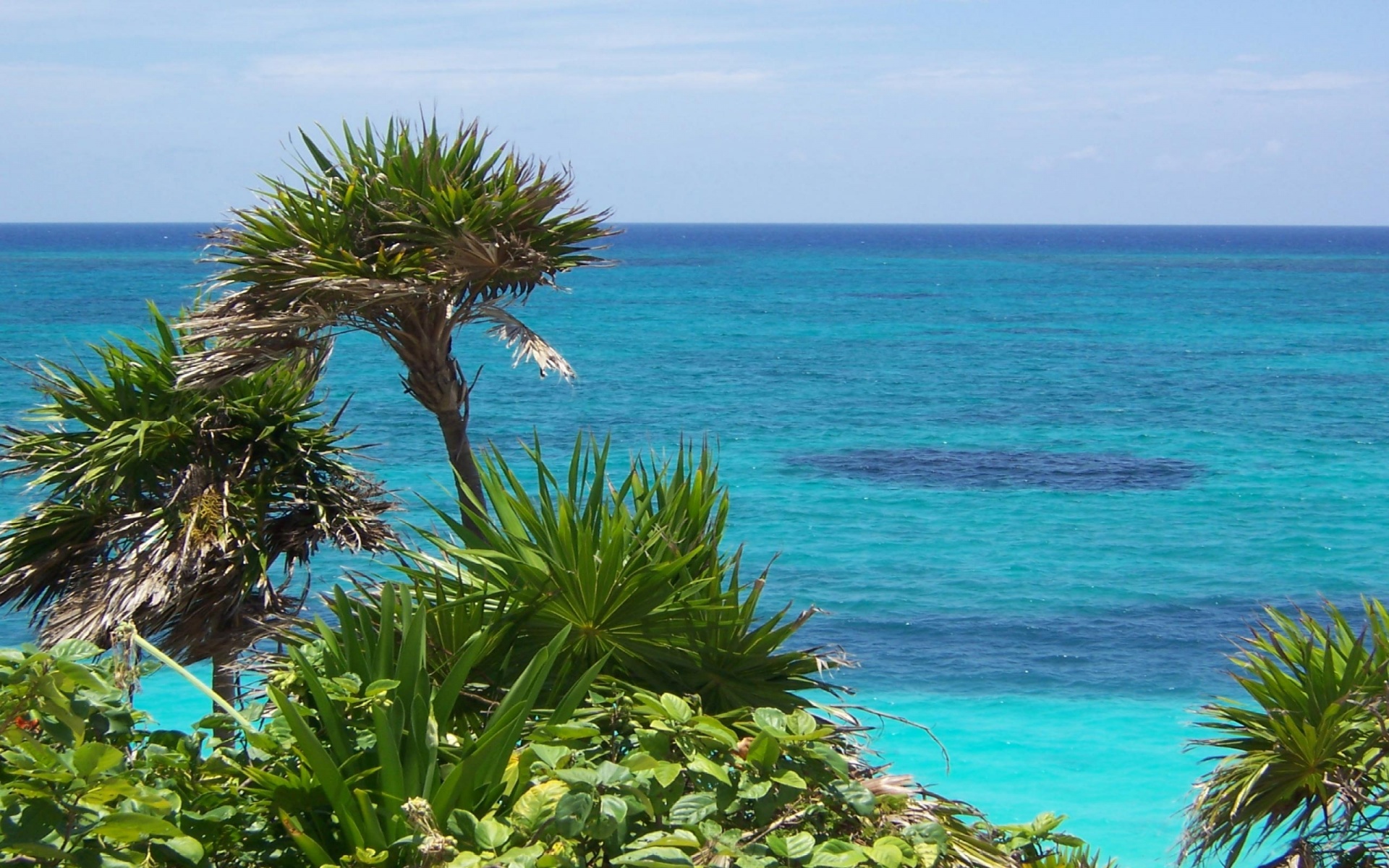 meerblick tapete,gewässer,natur,natürliche landschaft,meer,küste