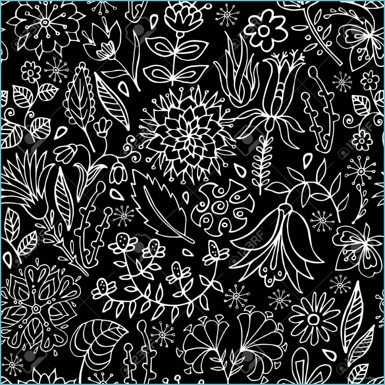 black paisley wallpaper,pattern,paisley,motif,visual arts,lace