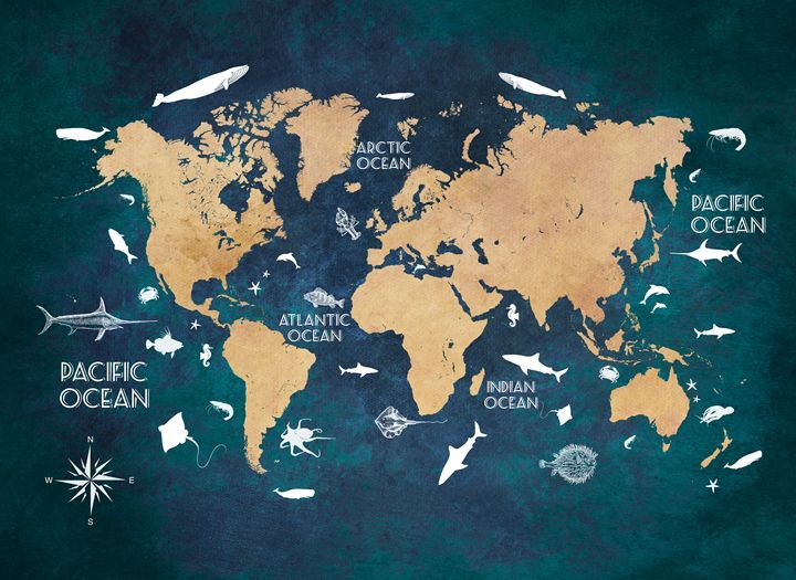 fond d'écran mapa,monde,carte,police de caractère