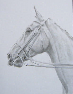 pencil sketch wallpaper,horse,drawing,white,sketch,bridle