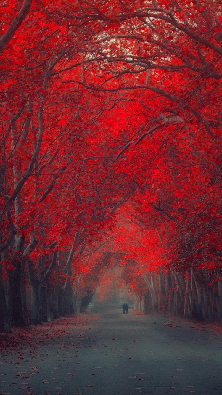 elegante fondo de pantalla para iphone,rojo,naturaleza,árbol,paisaje natural,pintura