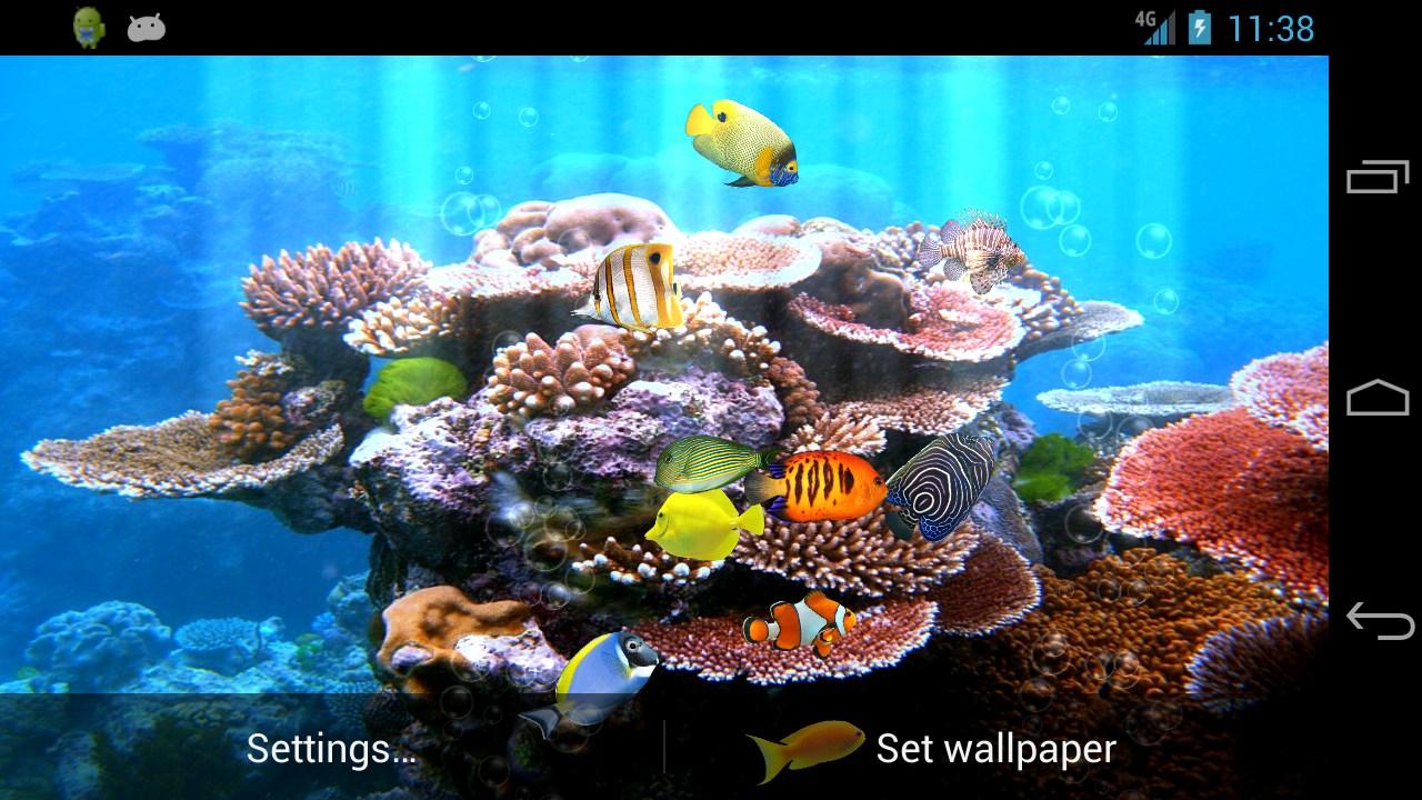 ライブ壁紙魚水泳,リーフ,サンゴ礁,魚,石サンゴ,魚