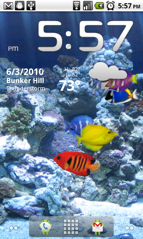 live wallpaper fish swimming,reef,coral reef,coral reef fish,marine biology,fish
