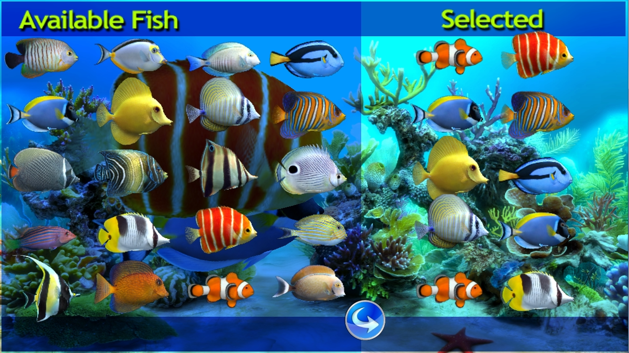 live wallpaper fish swimming,fish,fish,marine biology,coral reef fish,underwater