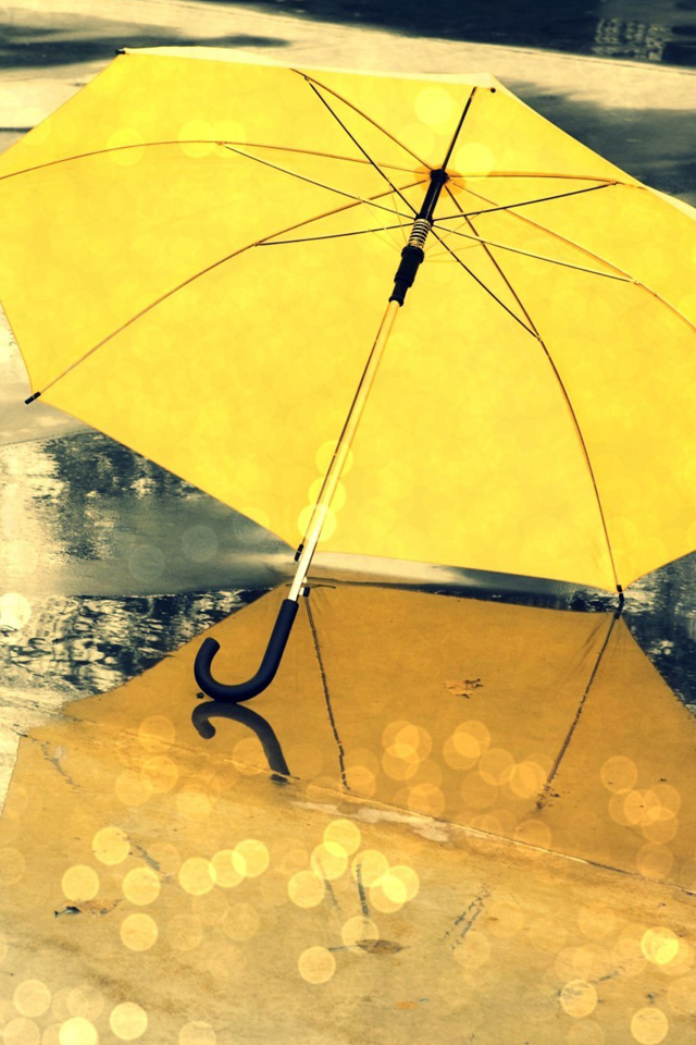 黄色い傘の壁紙,傘,黄,葉,空,シェード