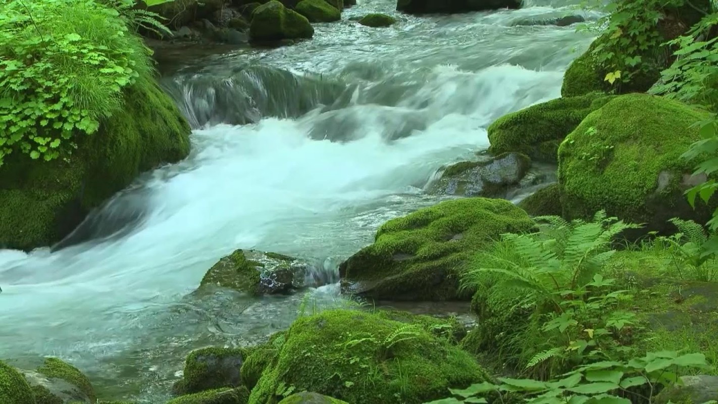 강 라이브 배경 화면,수자원,물줄기,자연 경관,자연,흐름