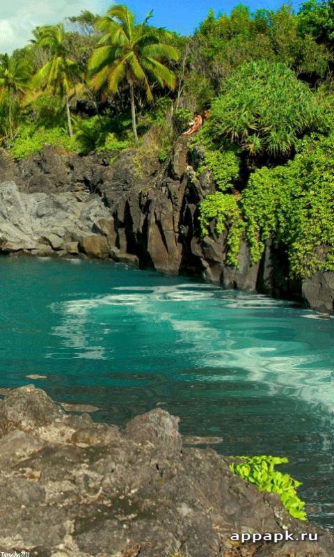 río de pantalla en vivo,cuerpo de agua,paisaje natural,naturaleza,recursos hídricos,costa