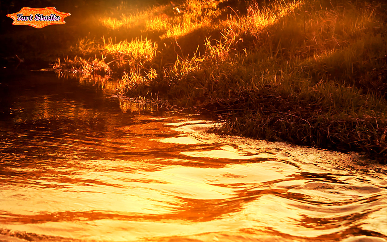 강 라이브 배경 화면,자연,하늘,햇빛,열,물