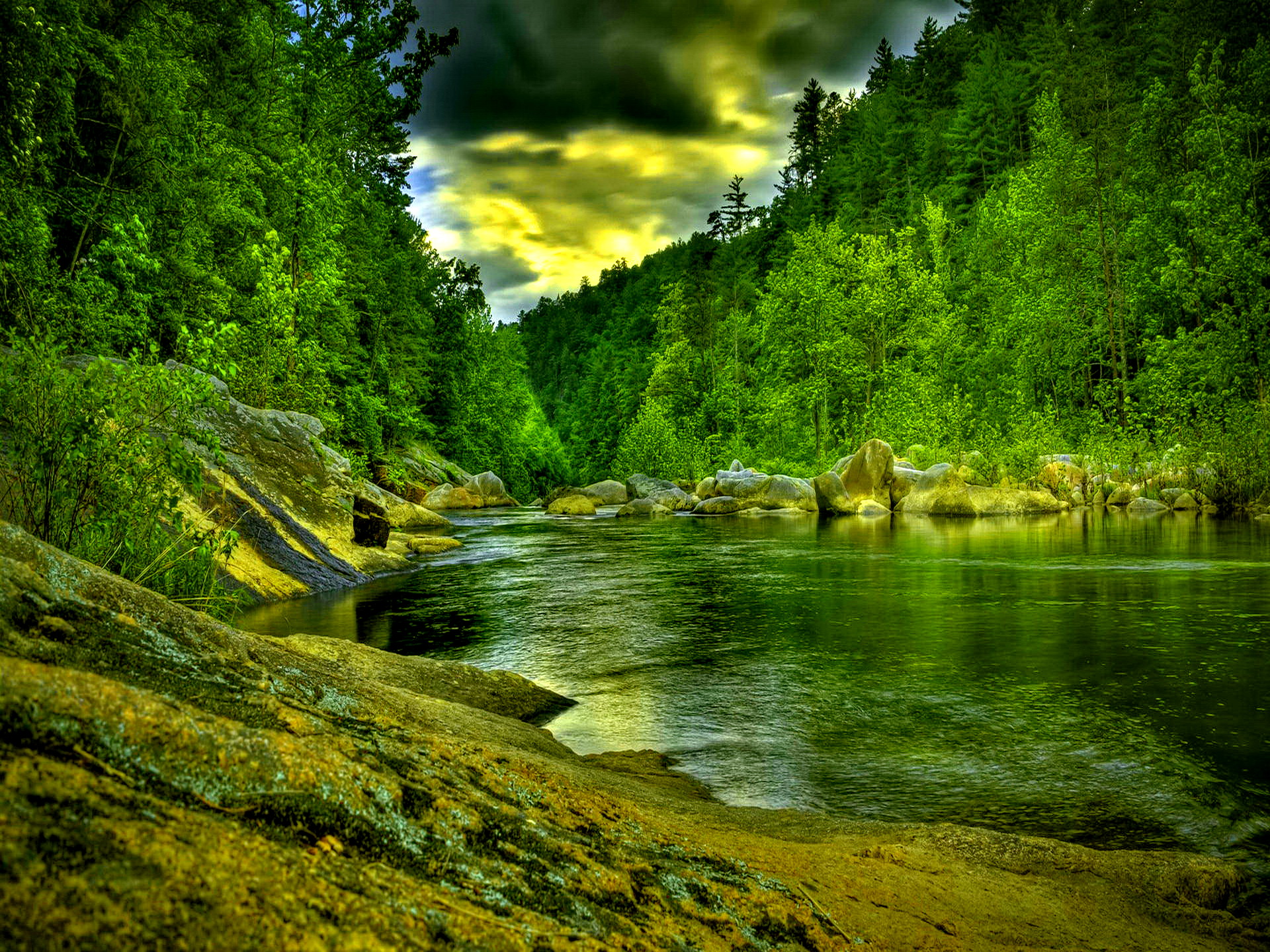 river live wallpaper,nature,natural landscape,body of water,water resources,vegetation