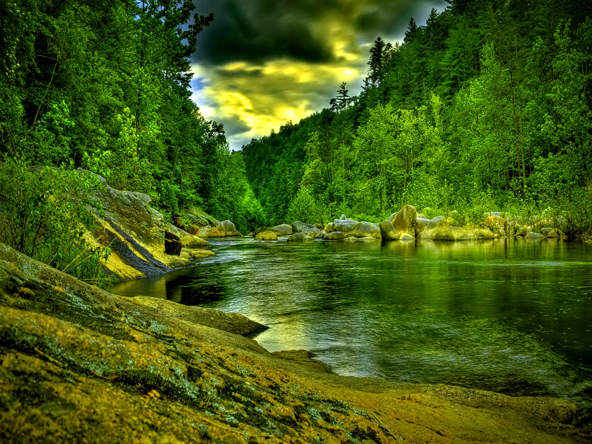 fluss live wallpaper,natur,natürliche landschaft,gewässer,wasservorräte,fluss