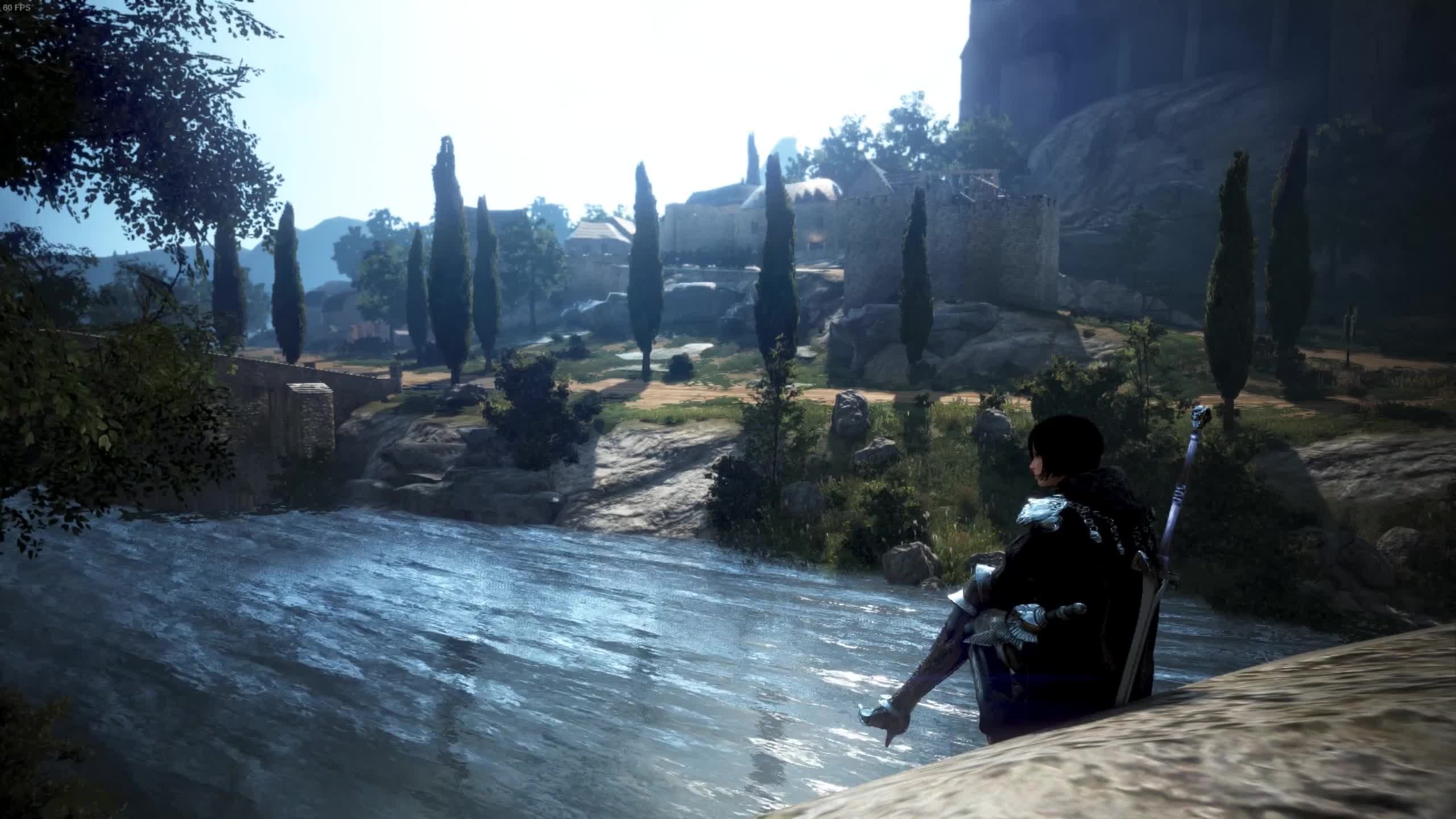 Black Desert Live WallpaperUse