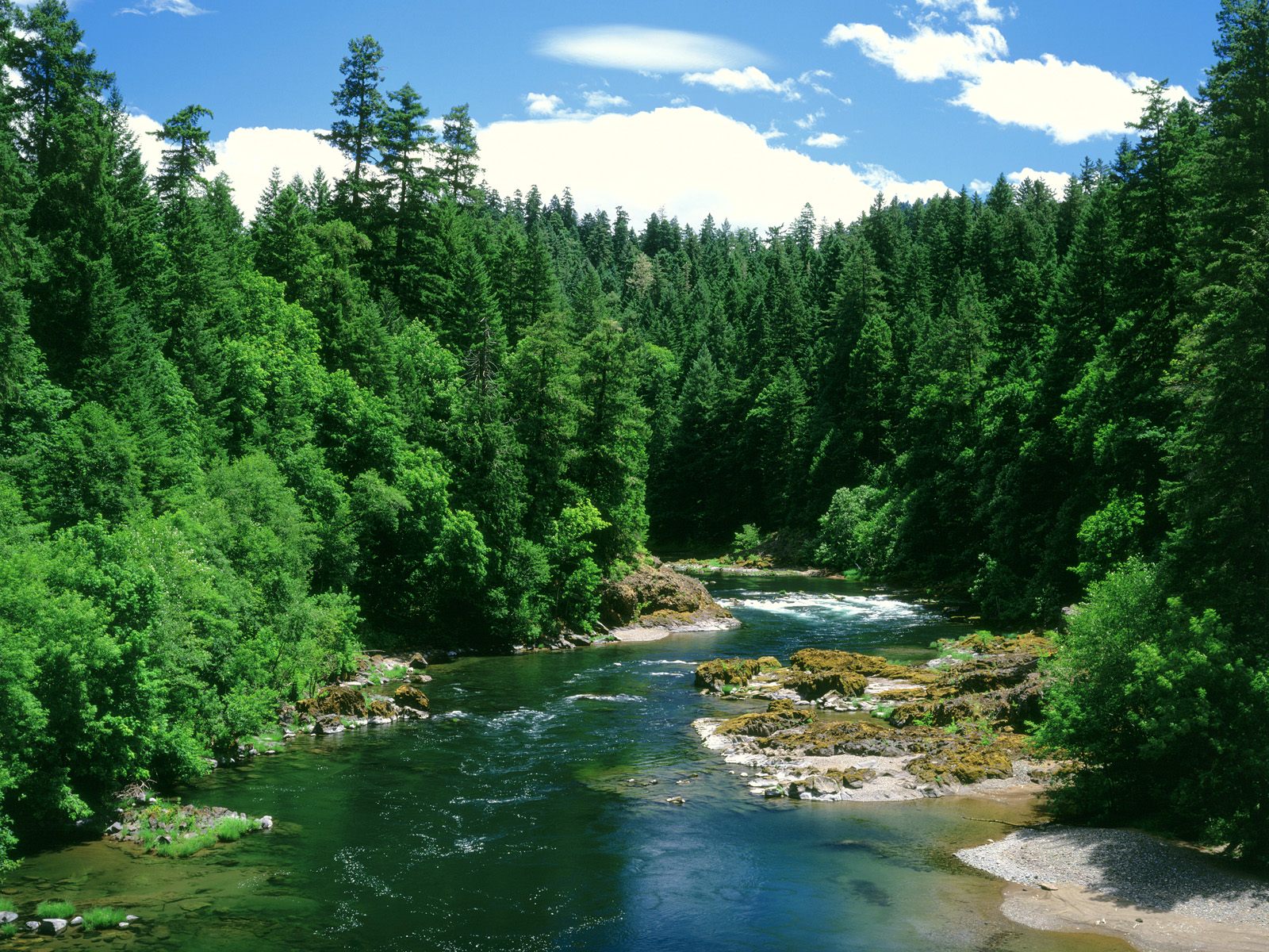 fluss live wallpaper,gewässer,wasservorräte,natürliche landschaft,natur,fluss