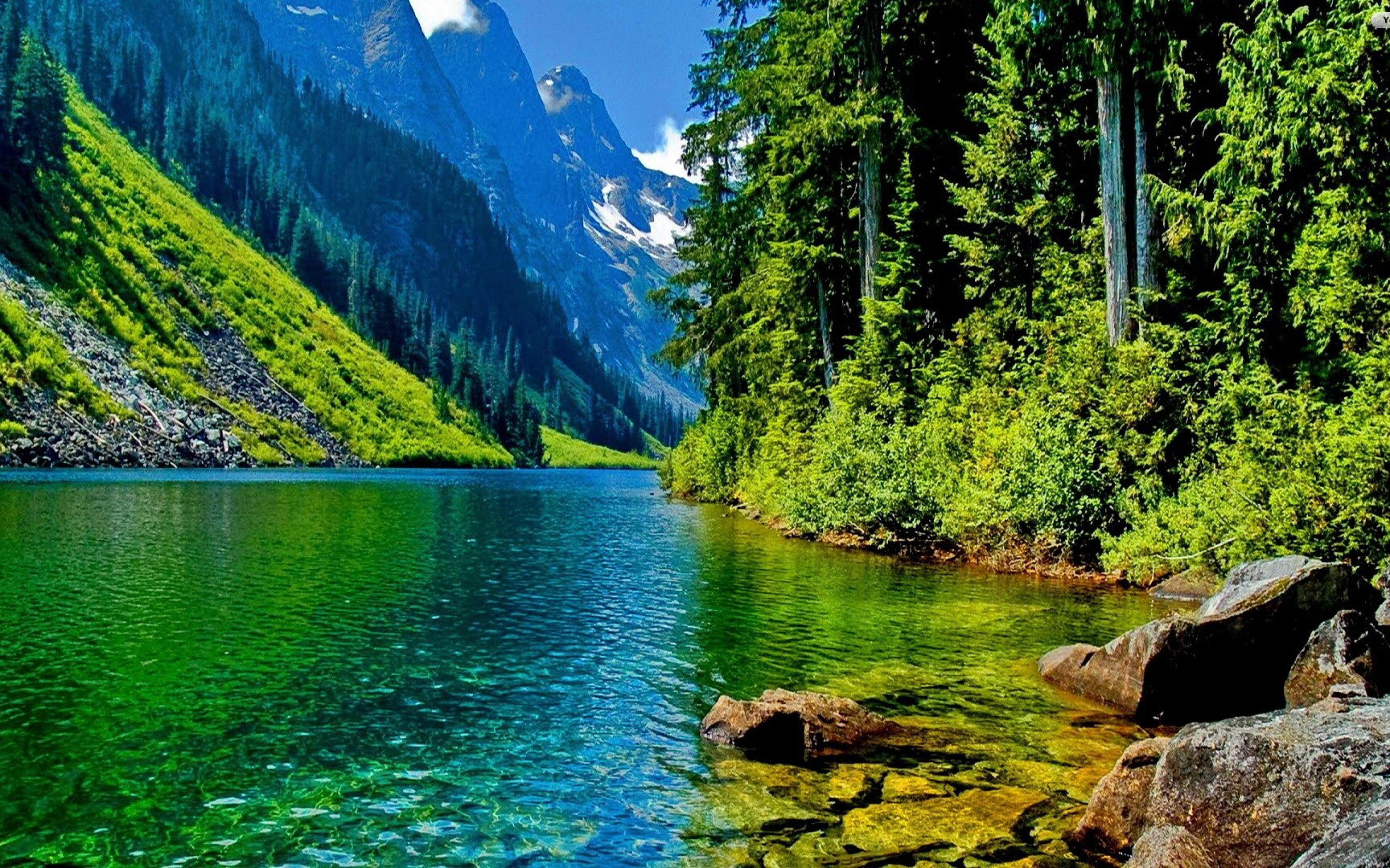 fondo de pantalla de río de montaña,paisaje natural,naturaleza,cuerpo de agua,recursos hídricos,agua