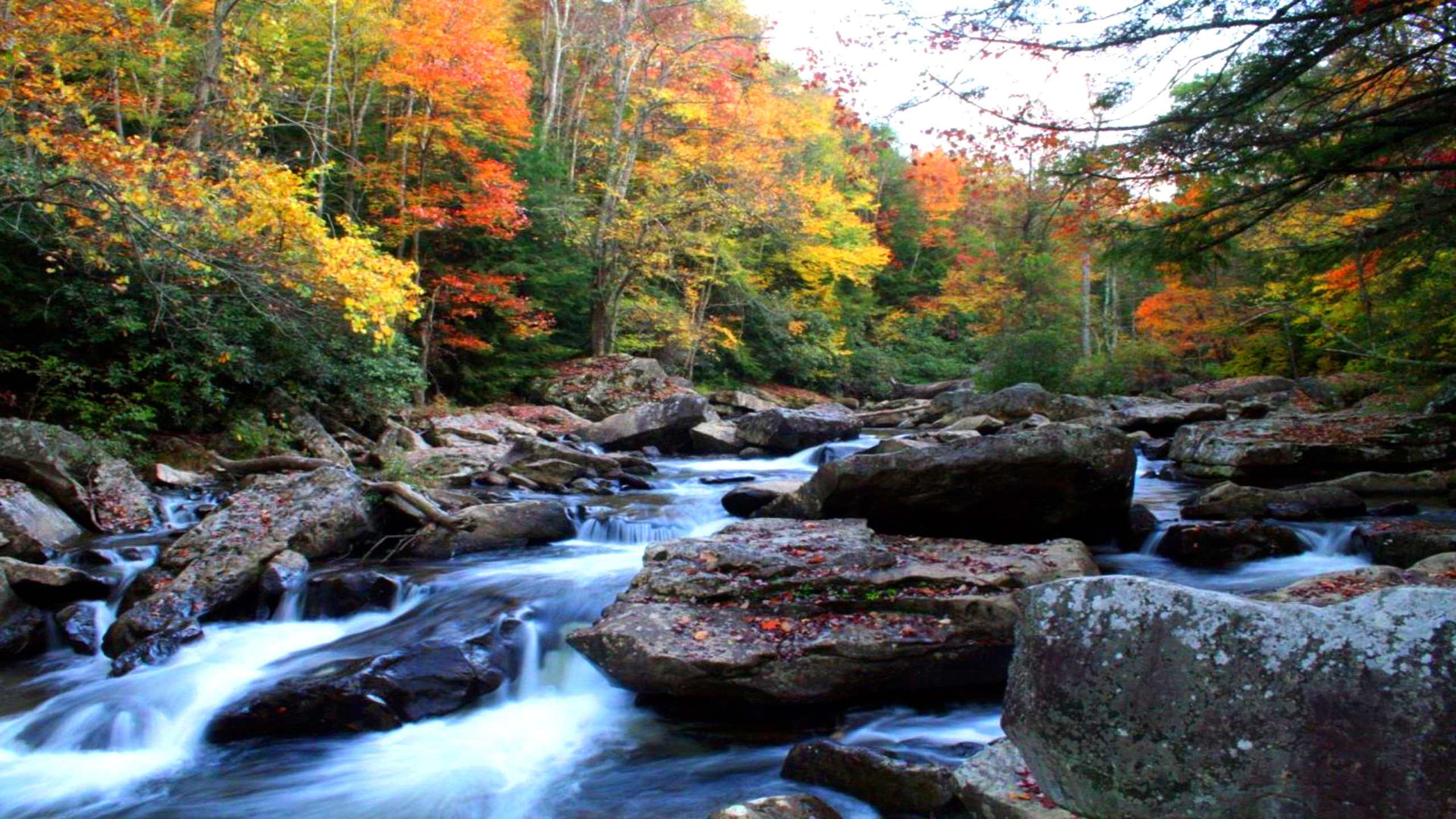 carta da parati fiume di montagna,corpo d'acqua,paesaggio naturale,ruscello,natura,risorse idriche