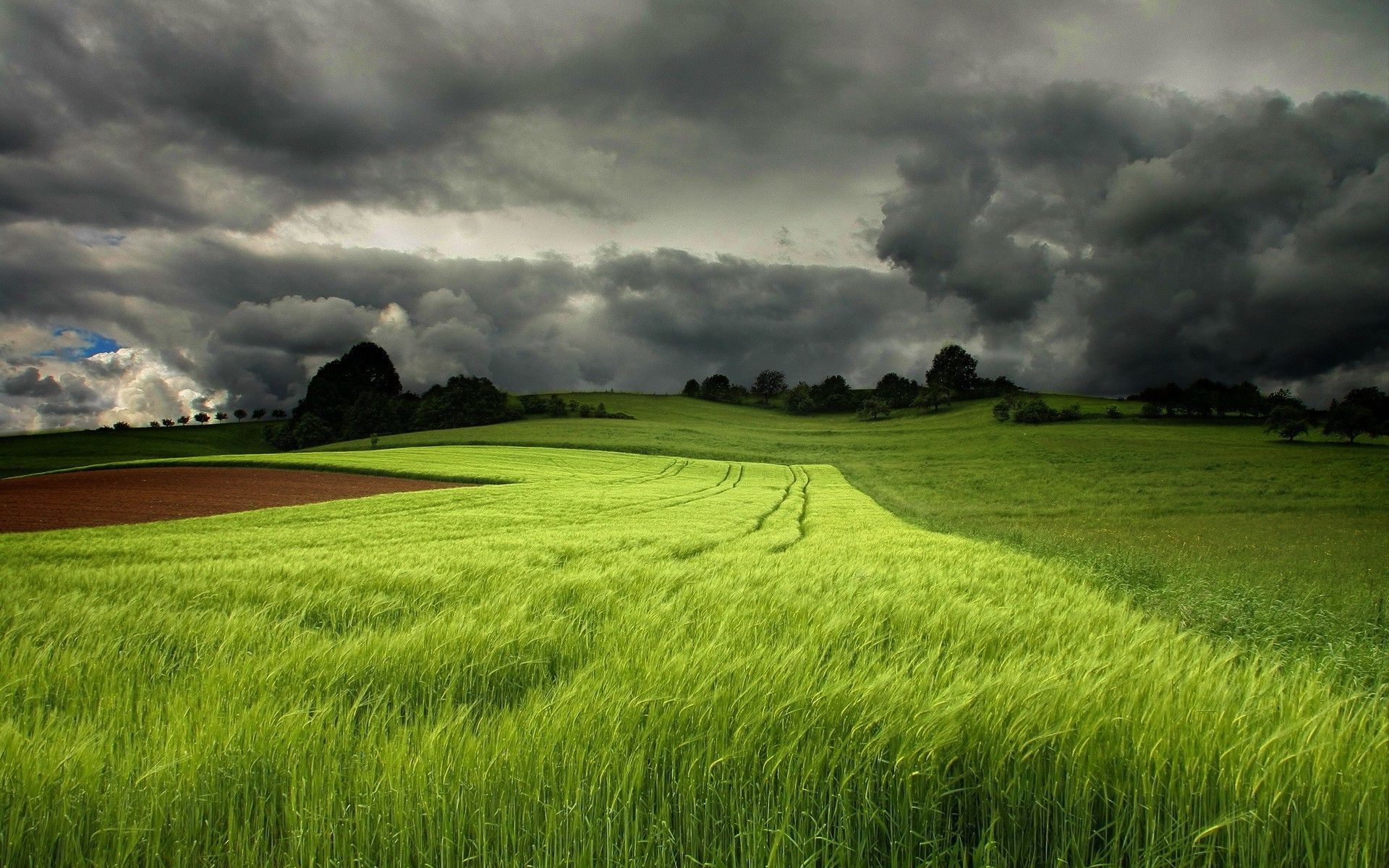 storm wallpaper hd,grassland,nature,field,natural landscape,green