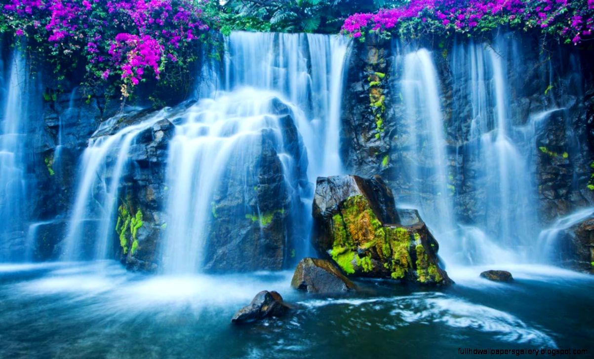 cascade live wallpaper hd,cascade,ressources en eau,paysage naturel,plan d'eau,la nature