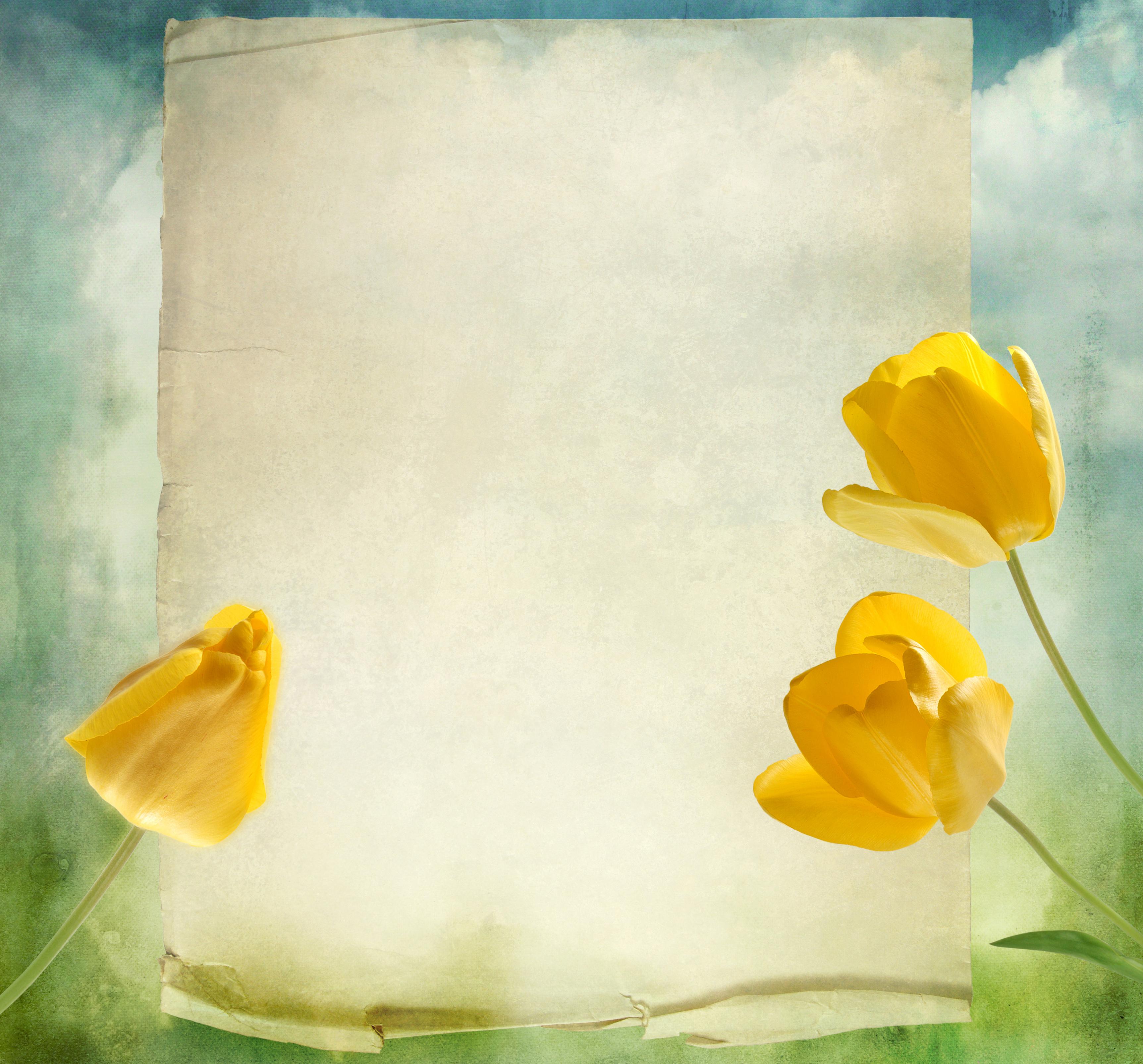 fondo de pantalla de tarjeta de felicitación,amarillo,flor,pétalo,pintura de acuarela,papel