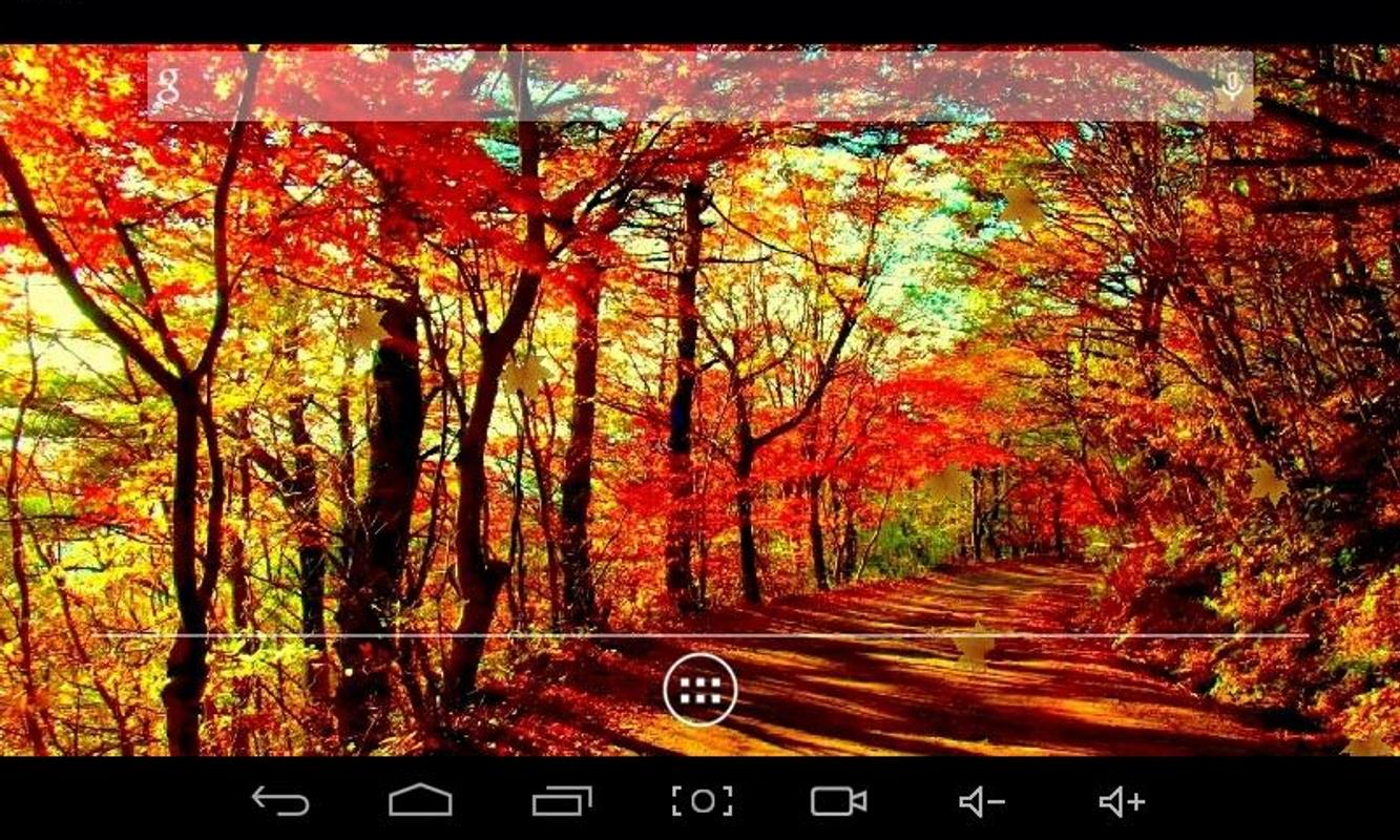 saisons fond d'écran en direct,paysage naturel,la nature,arbre,art moderne,rouge