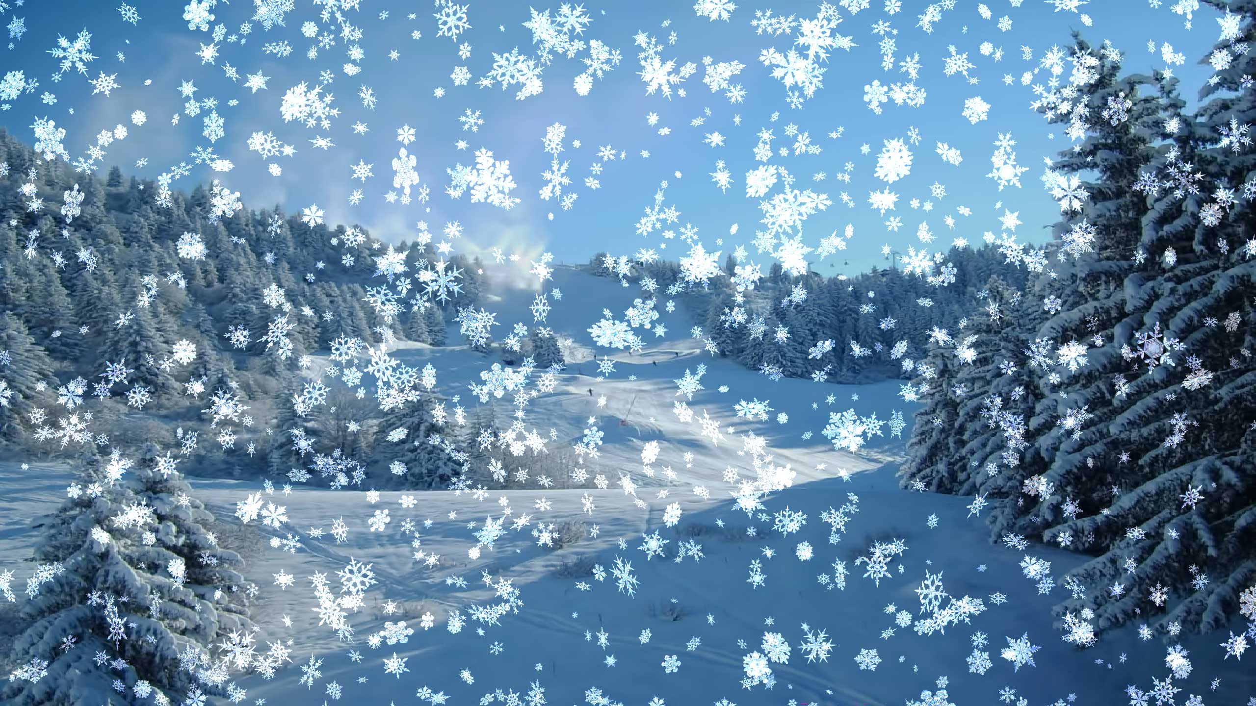 estaciones de pantalla en vivo,cielo,invierno,nieve,azul,árbol