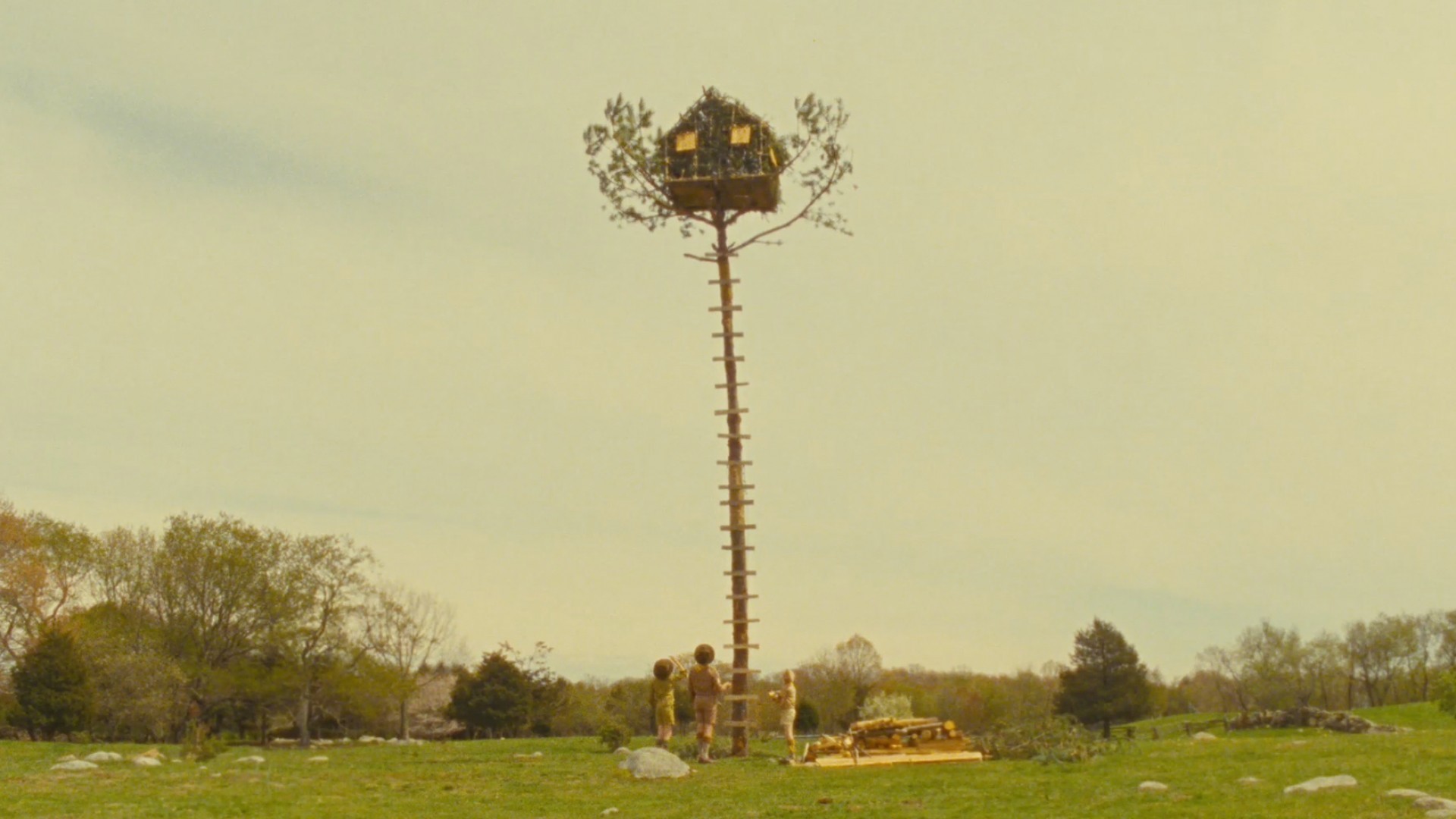 ウェス・アンダーソン壁紙,木,農村地域,工場,草原 (#275046) - WallpaperUse