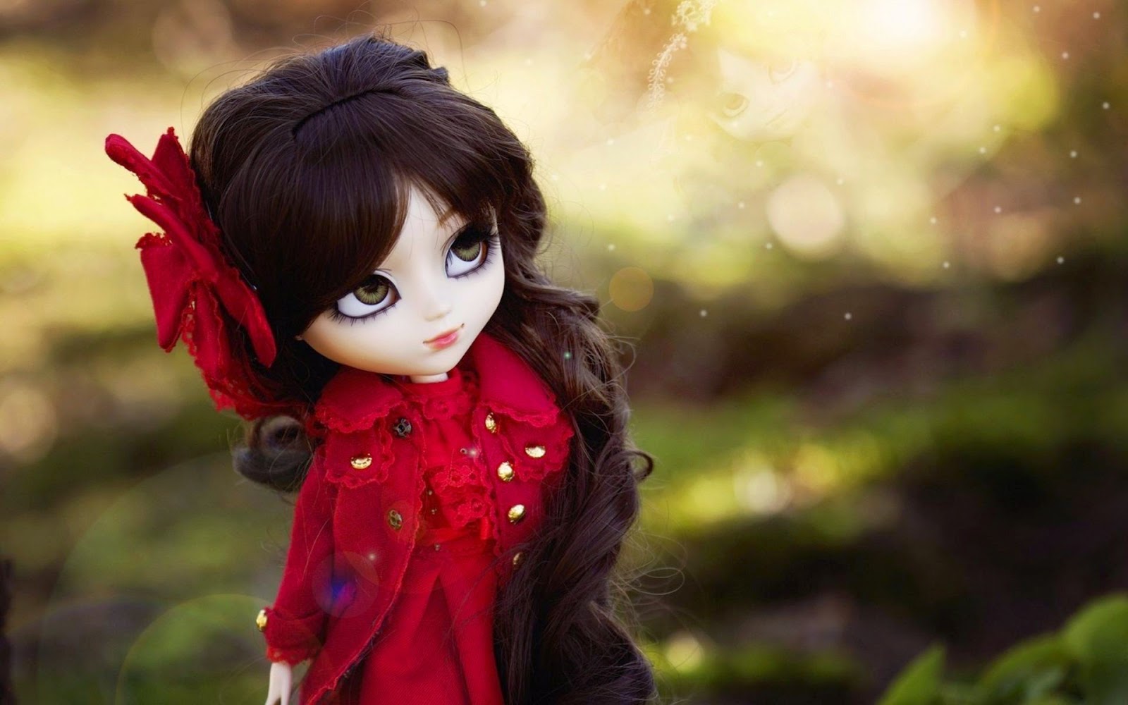 most beautiful dolls wallpapers,doll,red,toy,leaf,grass