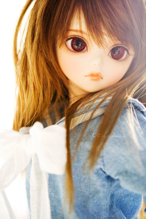 pretty doll wallpaper,hair,doll,wig,toy,hairstyle