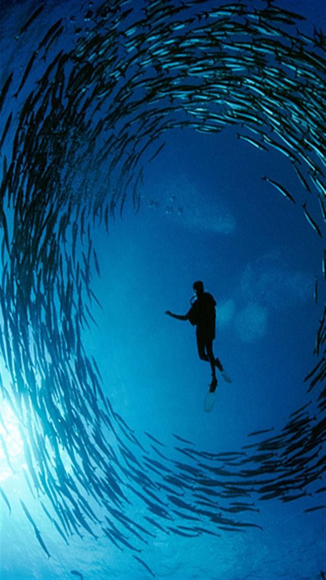 fond d'écran national géographique iphone,l'eau,bleu,vague,plongée libre,océan