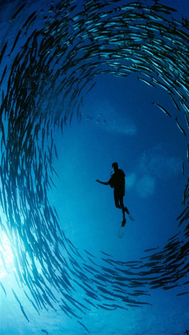 national geographic iphone wallpaper,wasser,blau,welle,freitauchen,ozean