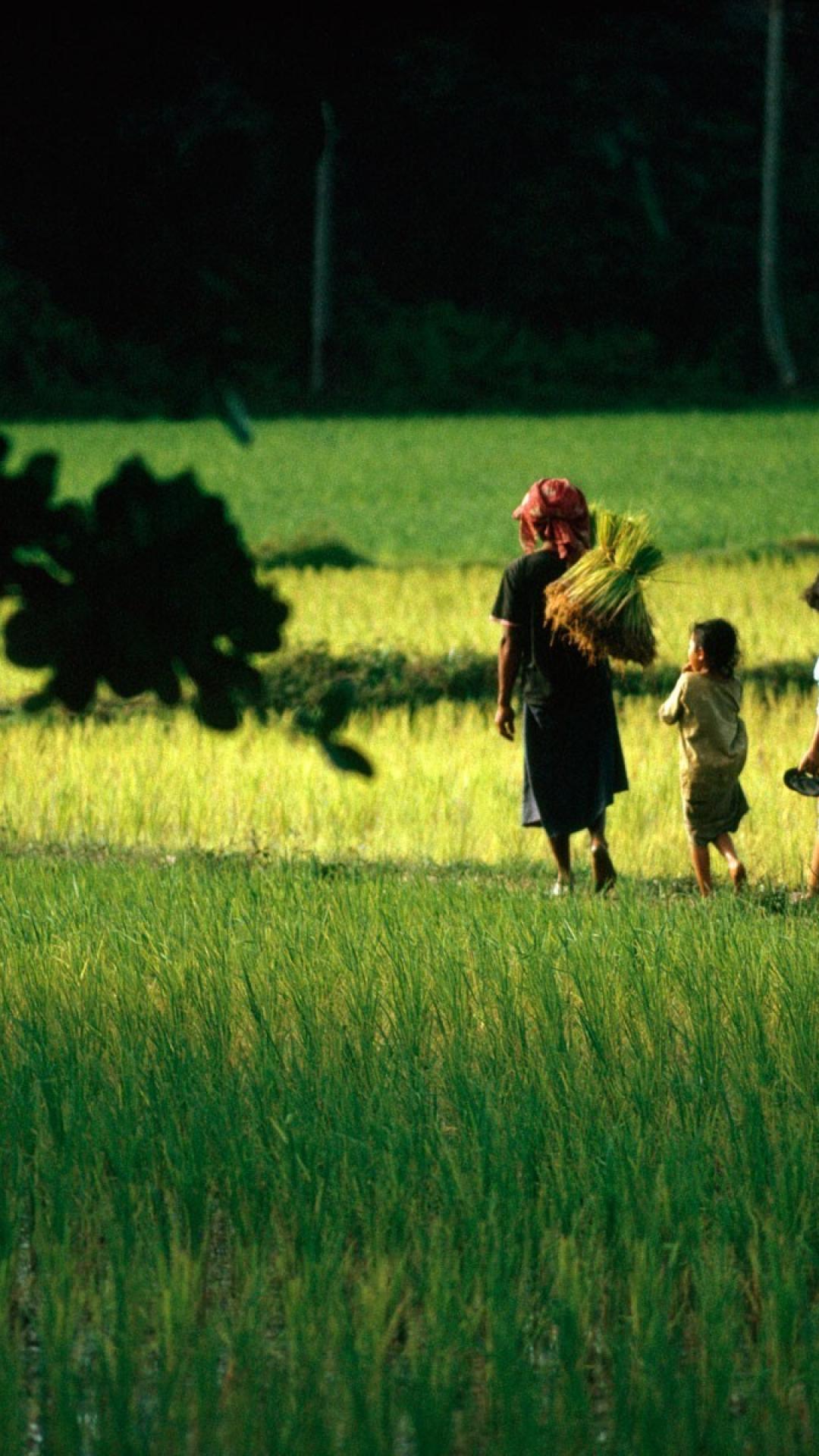 national geographic iphone wallpaper,people in nature,grass,paddy field,grassland,lawn