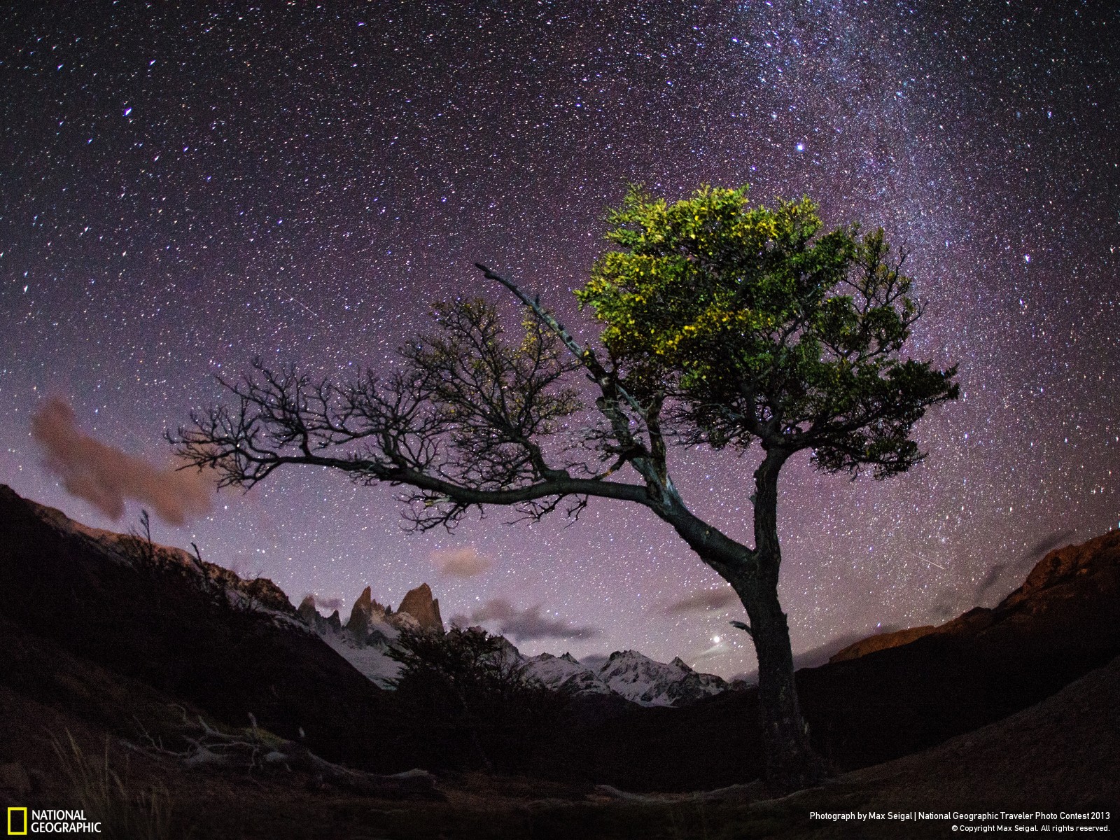 national geographic iphone wallpaper,sky,nature,tree,natural landscape,night