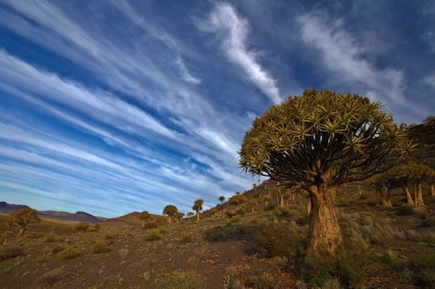 내셔널 지오그래픽 아이폰 배경 화면,하늘,자연 경관,자연,나무,구름