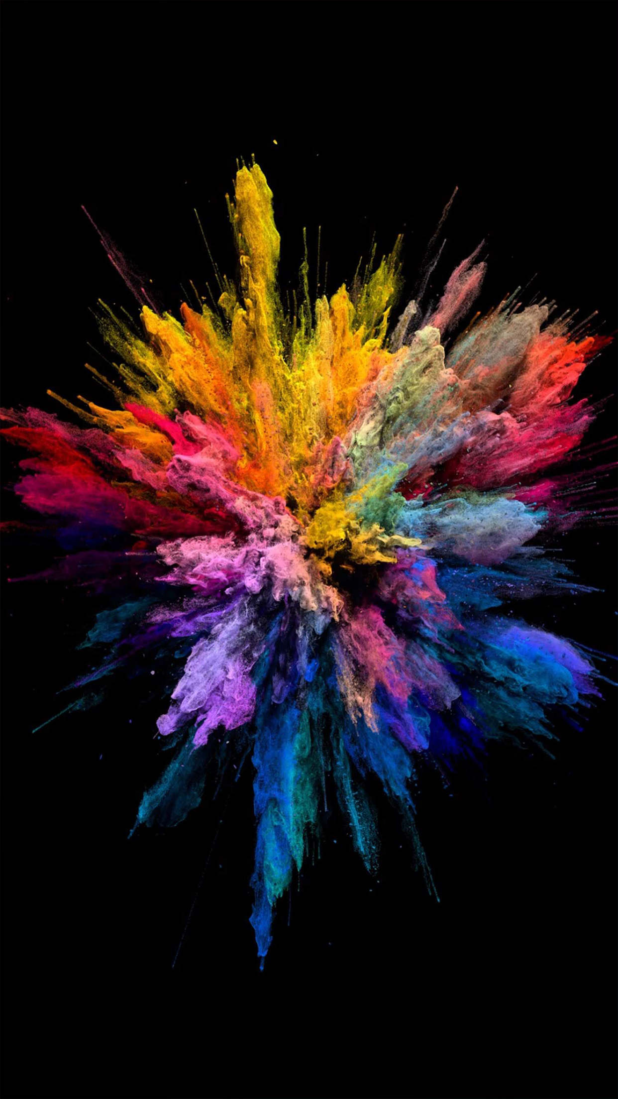 colour wallpaper download,fractal art,sky,graphic design,plant,graphics