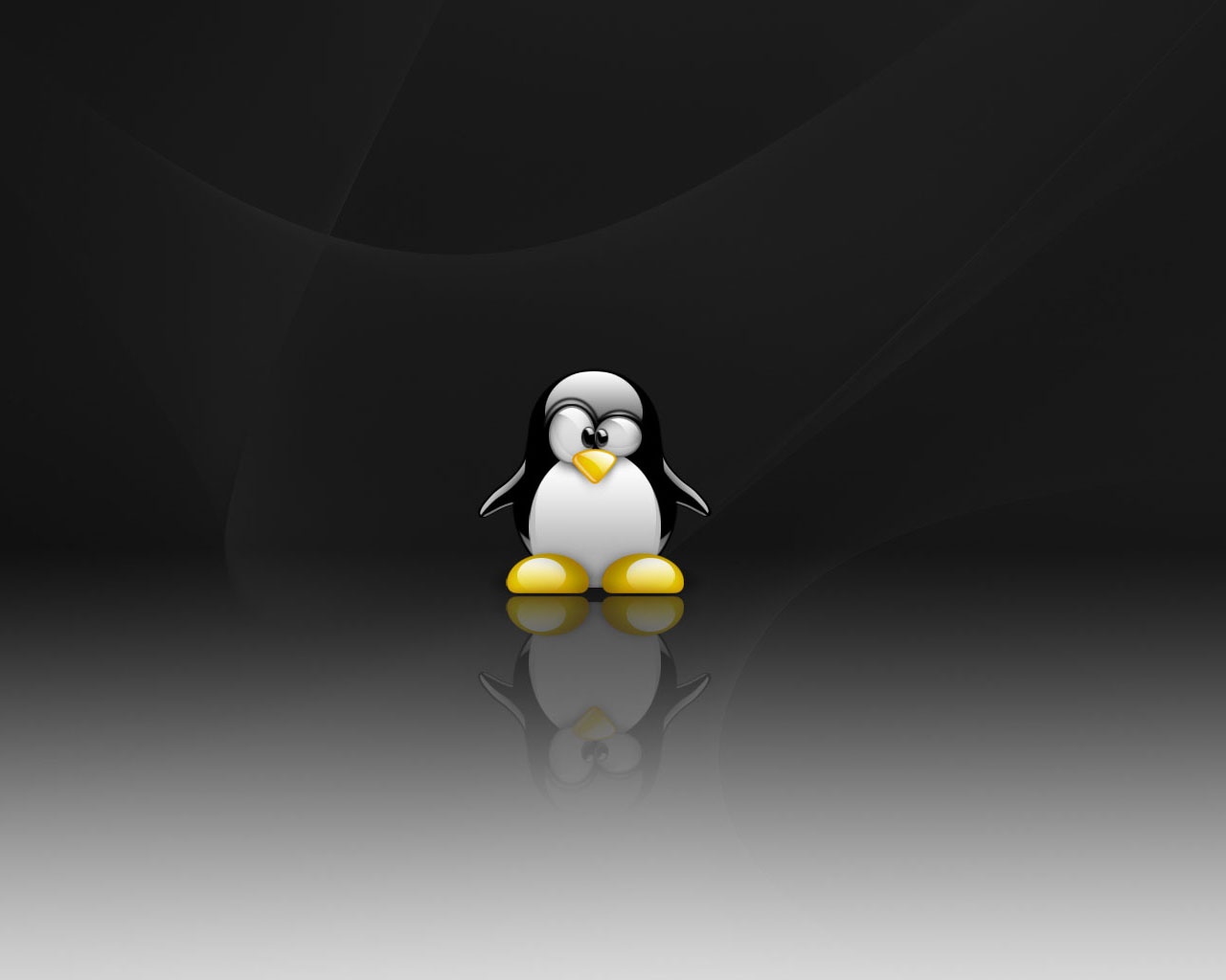 linux tux wallpaper,flightless bird,bird,animation,penguin,beak