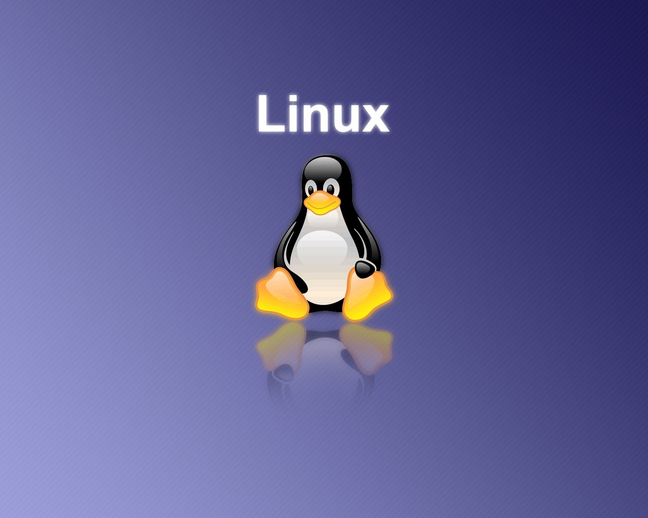 linux tux wallpaper,flightless bird,penguin,bird,cartoon,animated cartoon