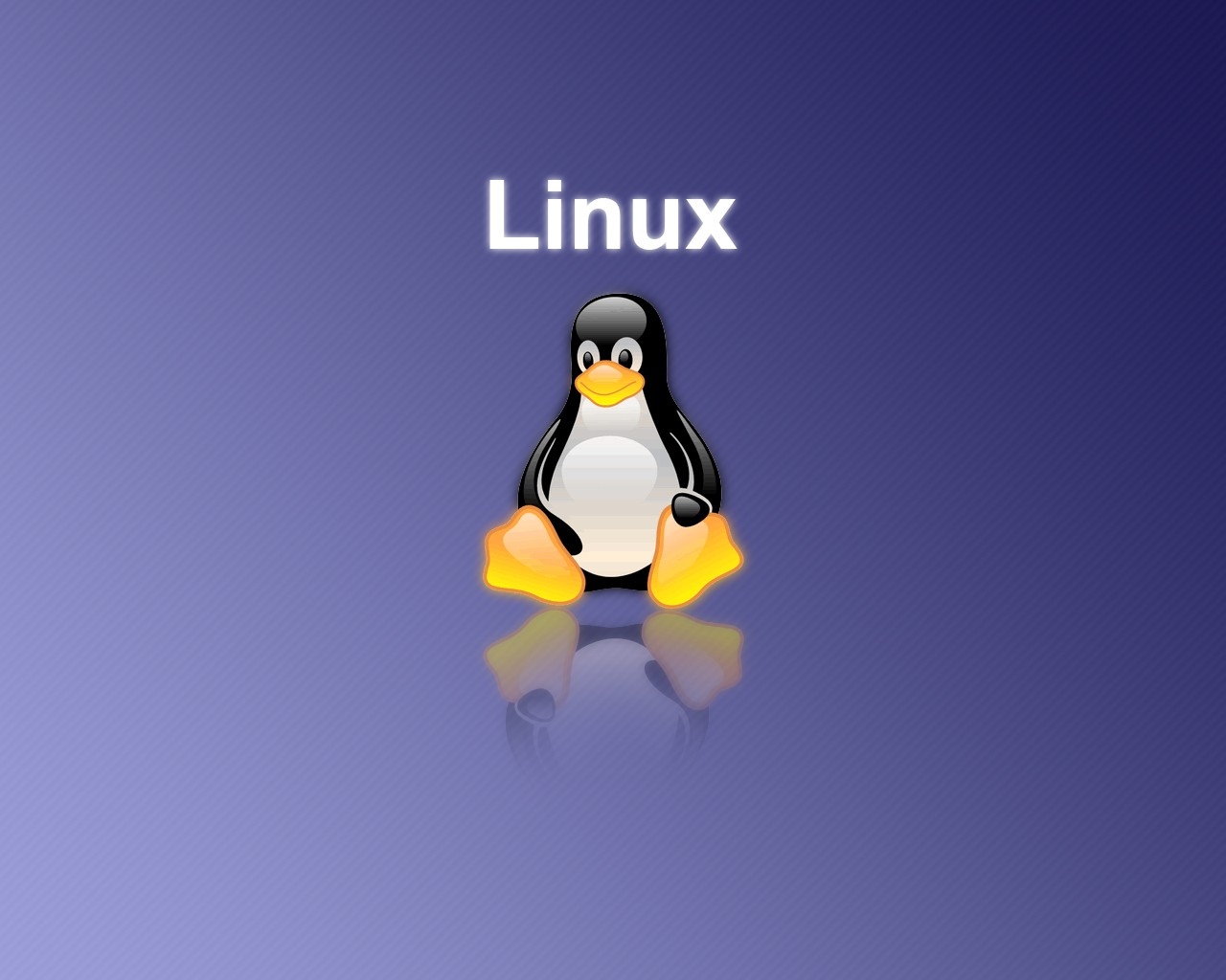 fond d'écran linux tux,oiseau incapable de voler,manchot,oiseau,dessin animé,dessin animé