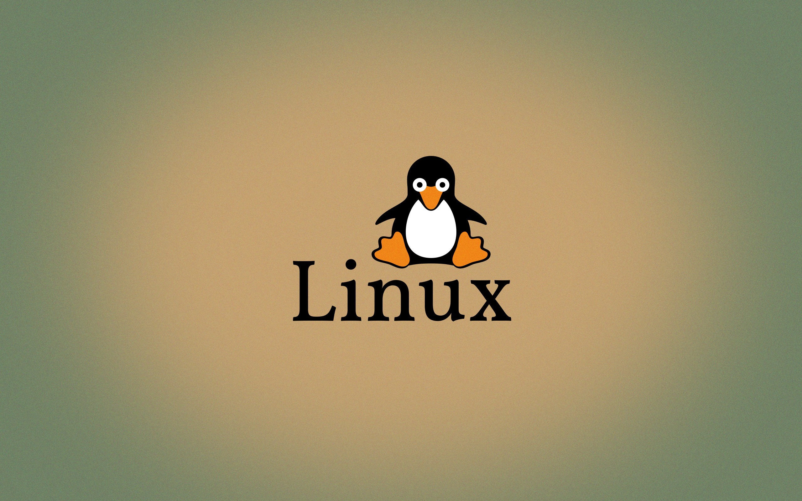 linux tux wallpaper,uccello,uccello incapace di volare,pinguino,grafica,font