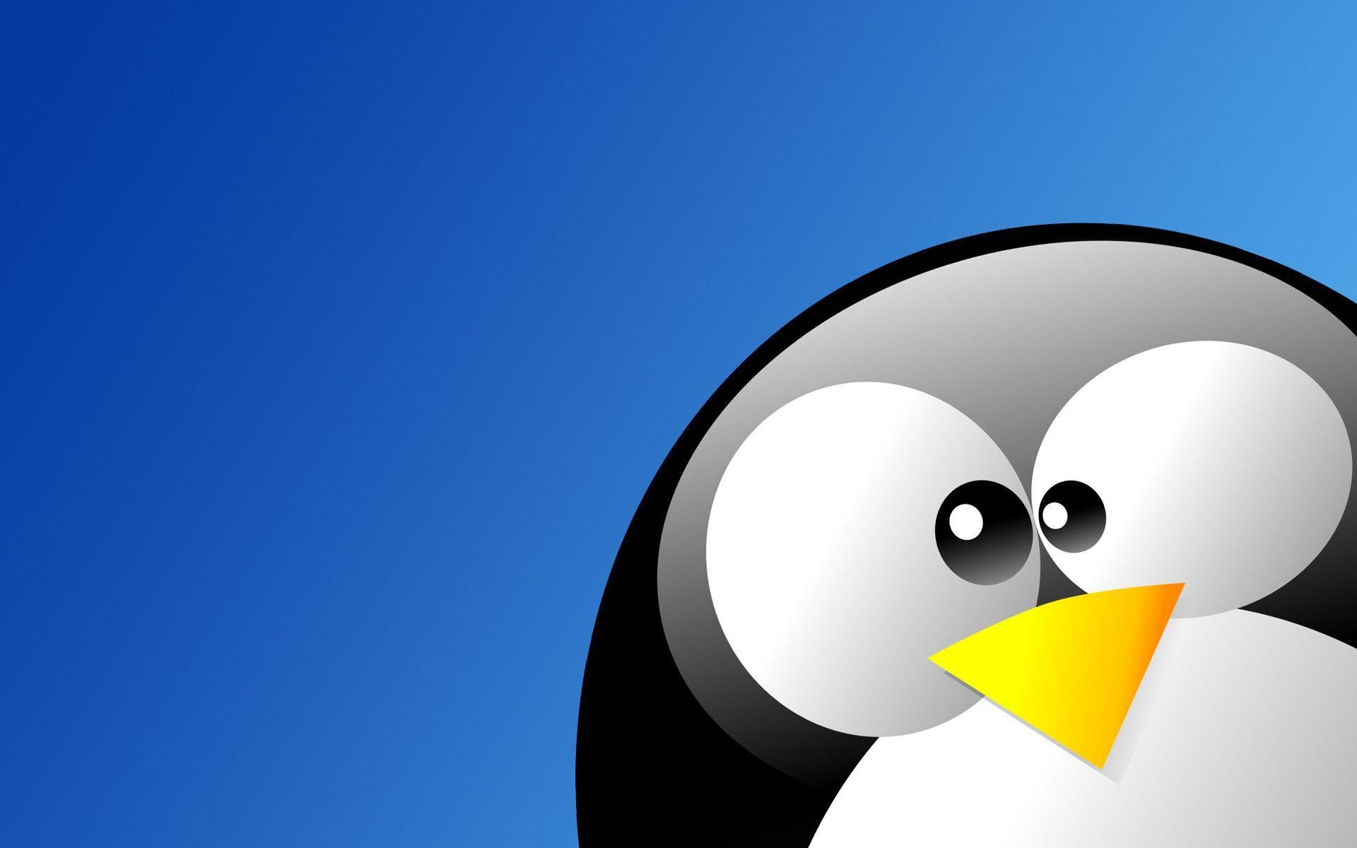 리눅스 턱시도 벽지,날 수없는 새,새,만화,하늘,삽화